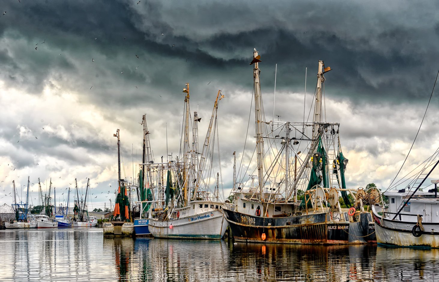 Engelhard-Shrimpers_7357.jpg