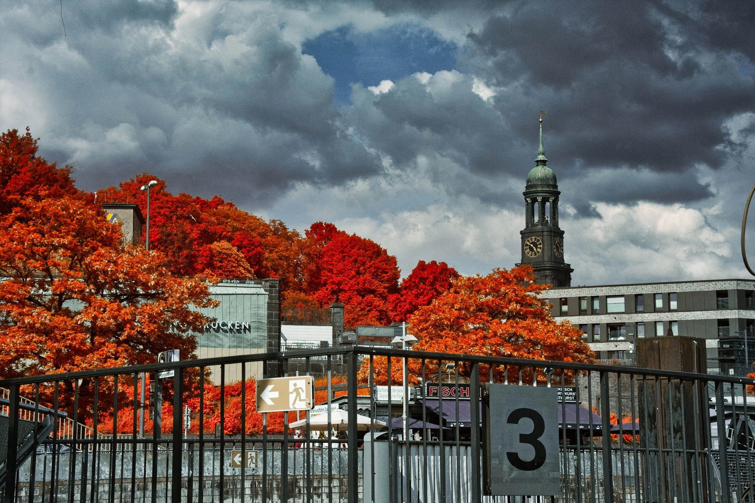 DSCF5525.jpg