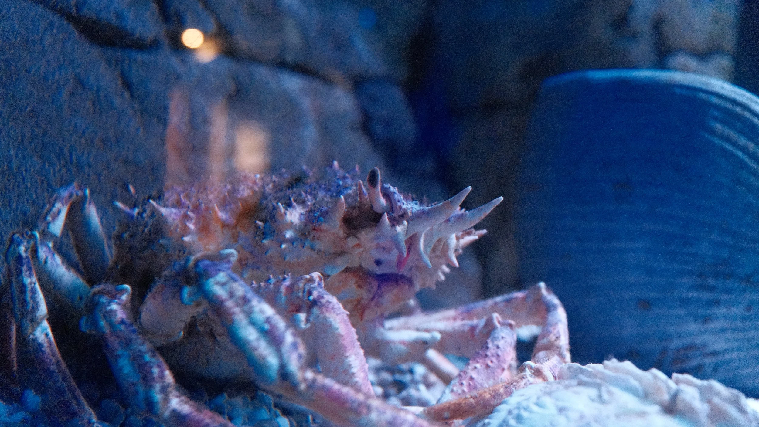 DSCF5959.JPG