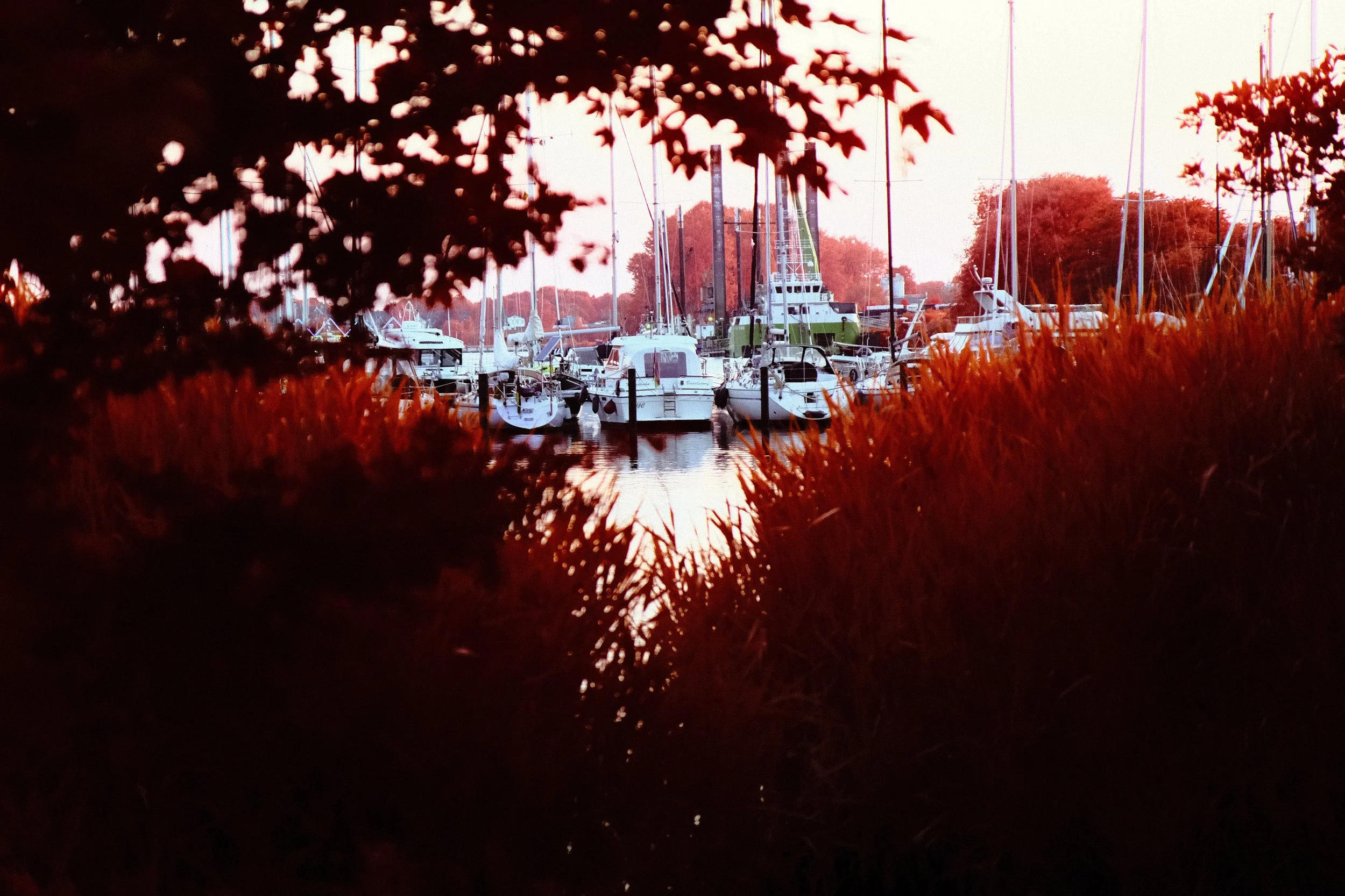 DSCF4463.JPG