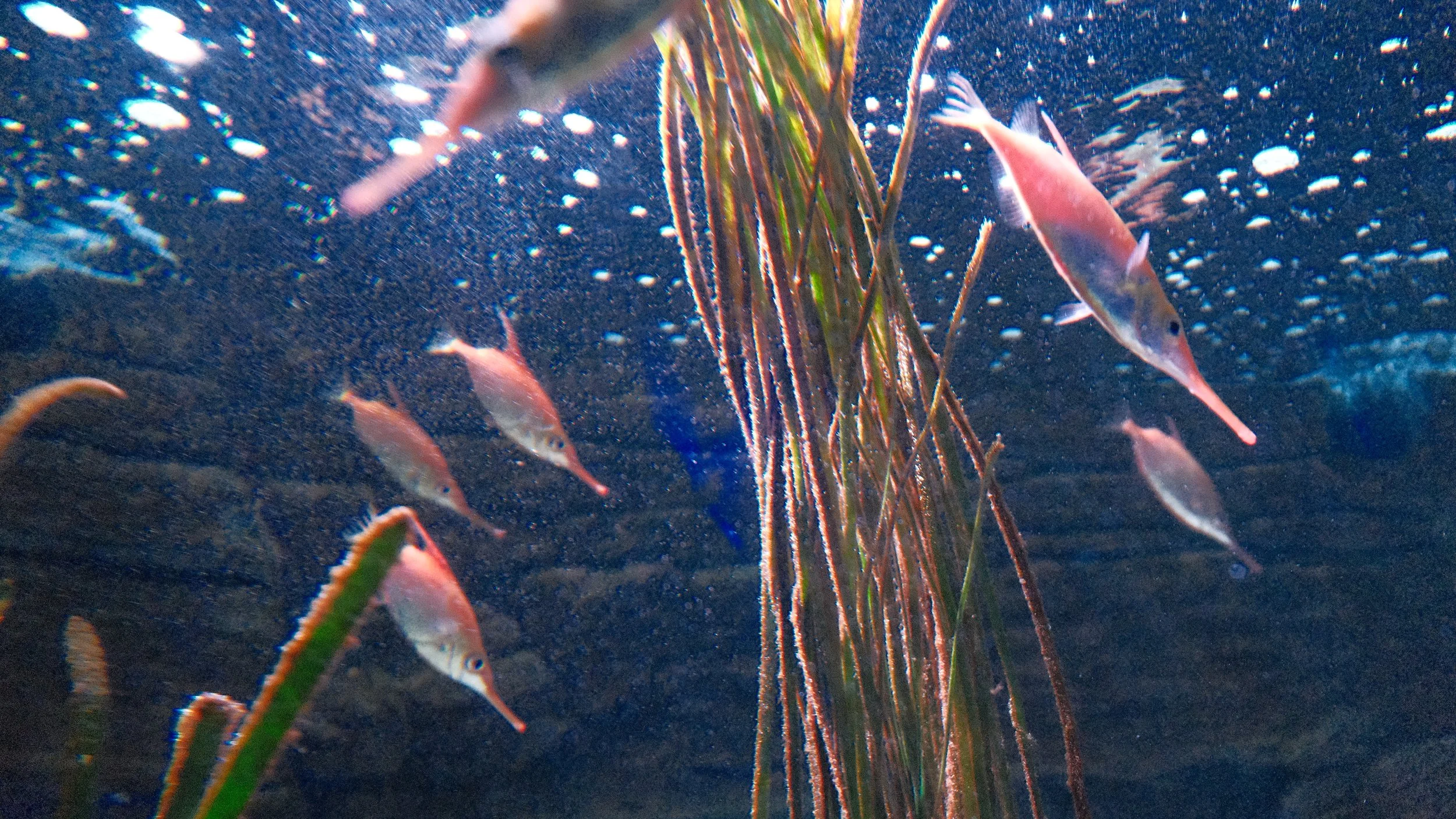 DSCF5939.JPG