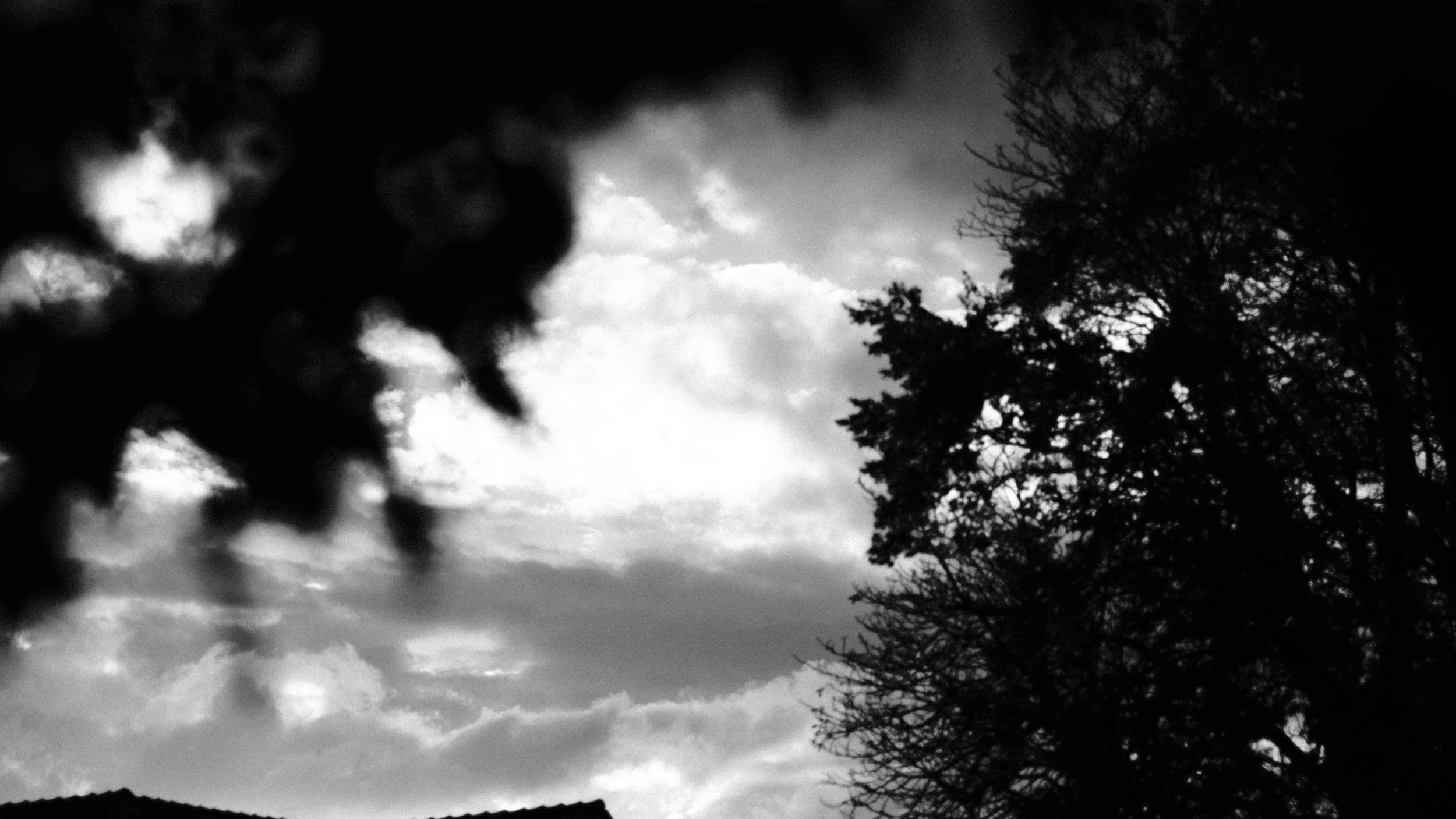 DSCF6946.JPG