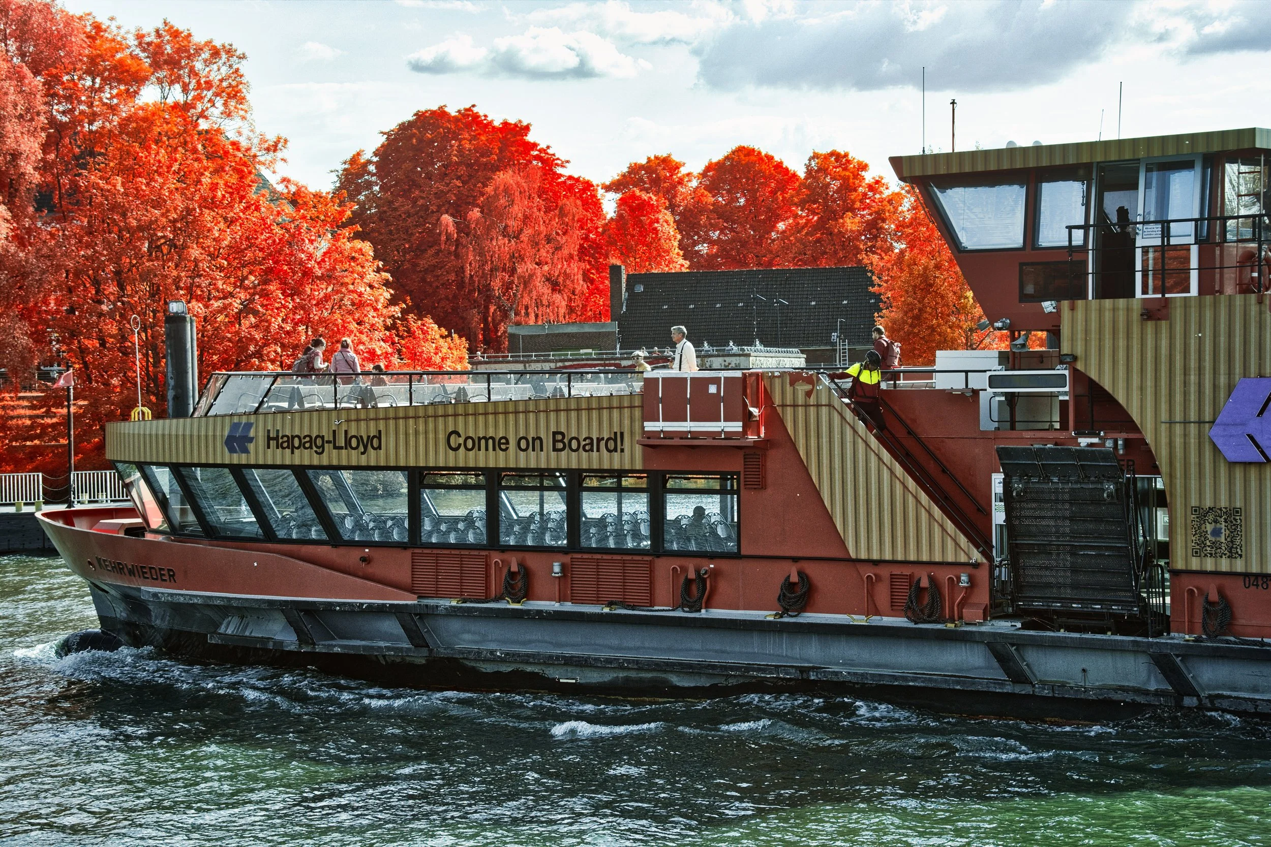 DSCF5561.jpg