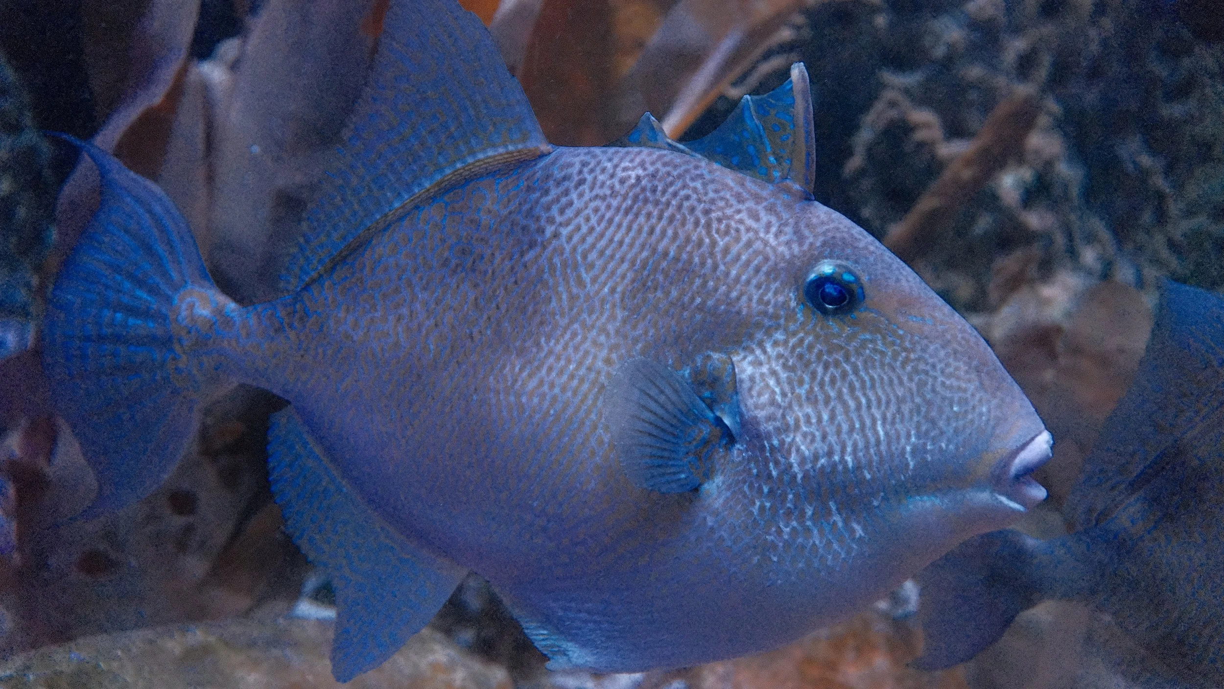 DSCF5892.JPG