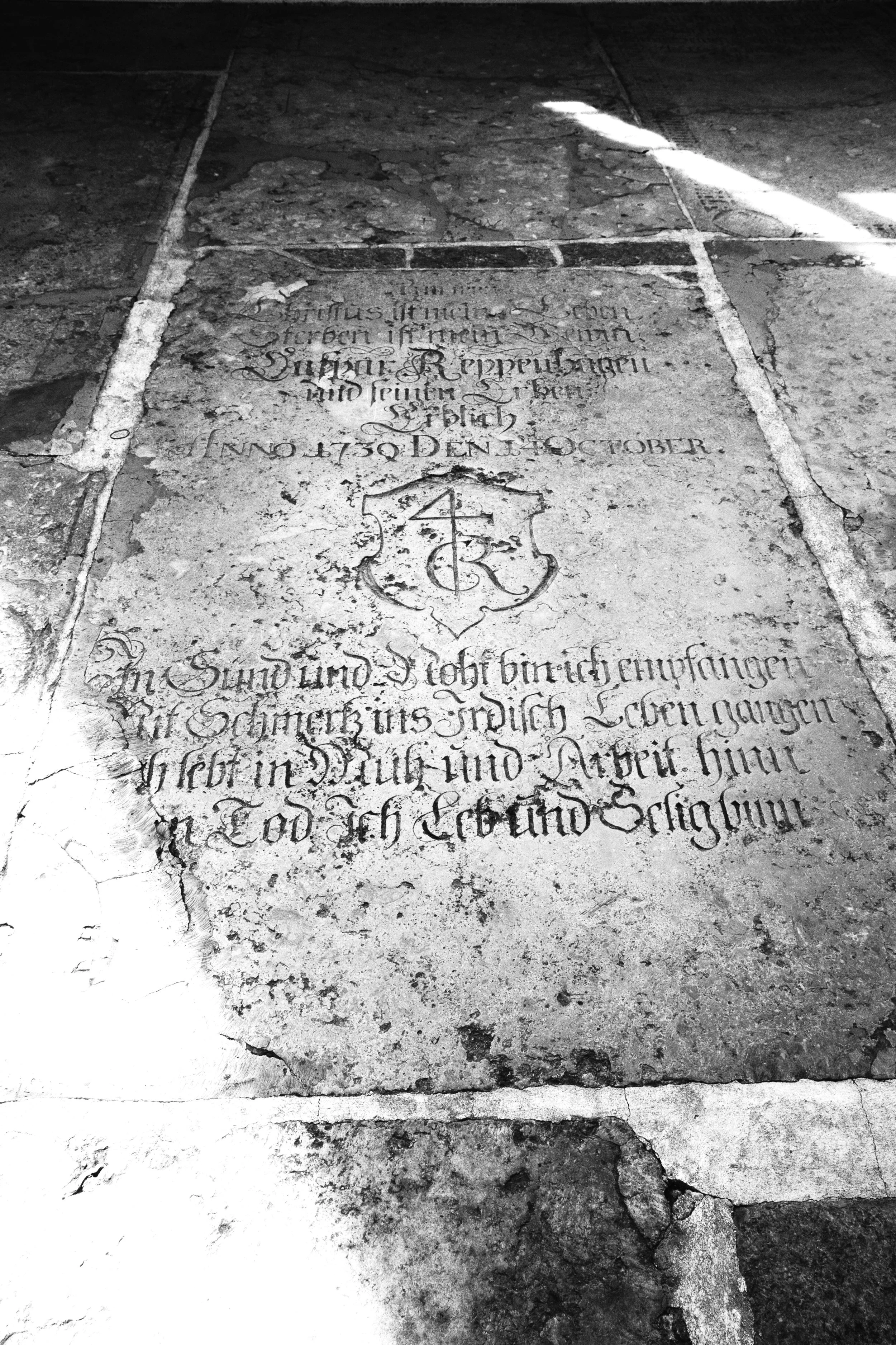 DSCF4972.jpg