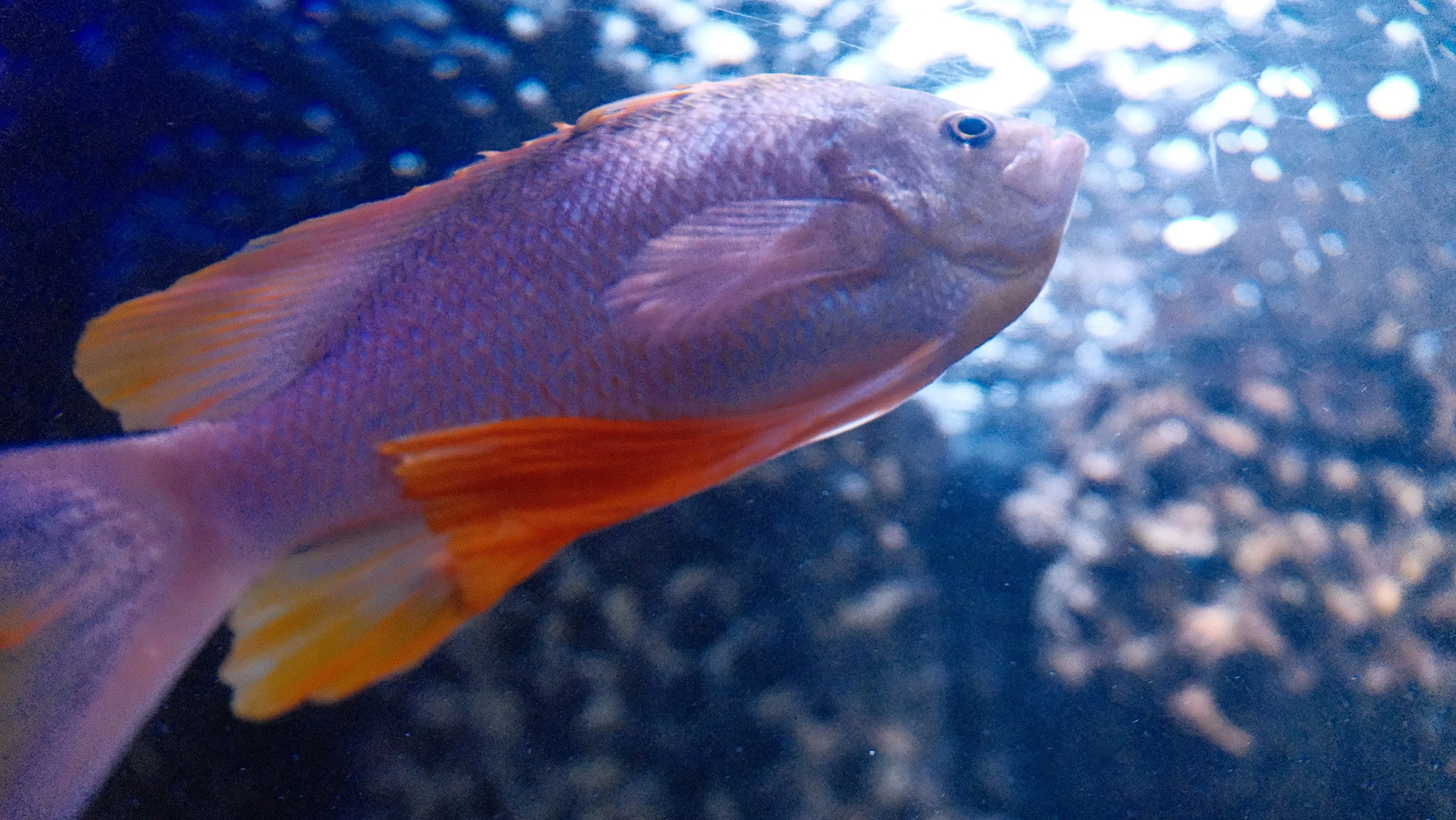 DSCF5898.JPG