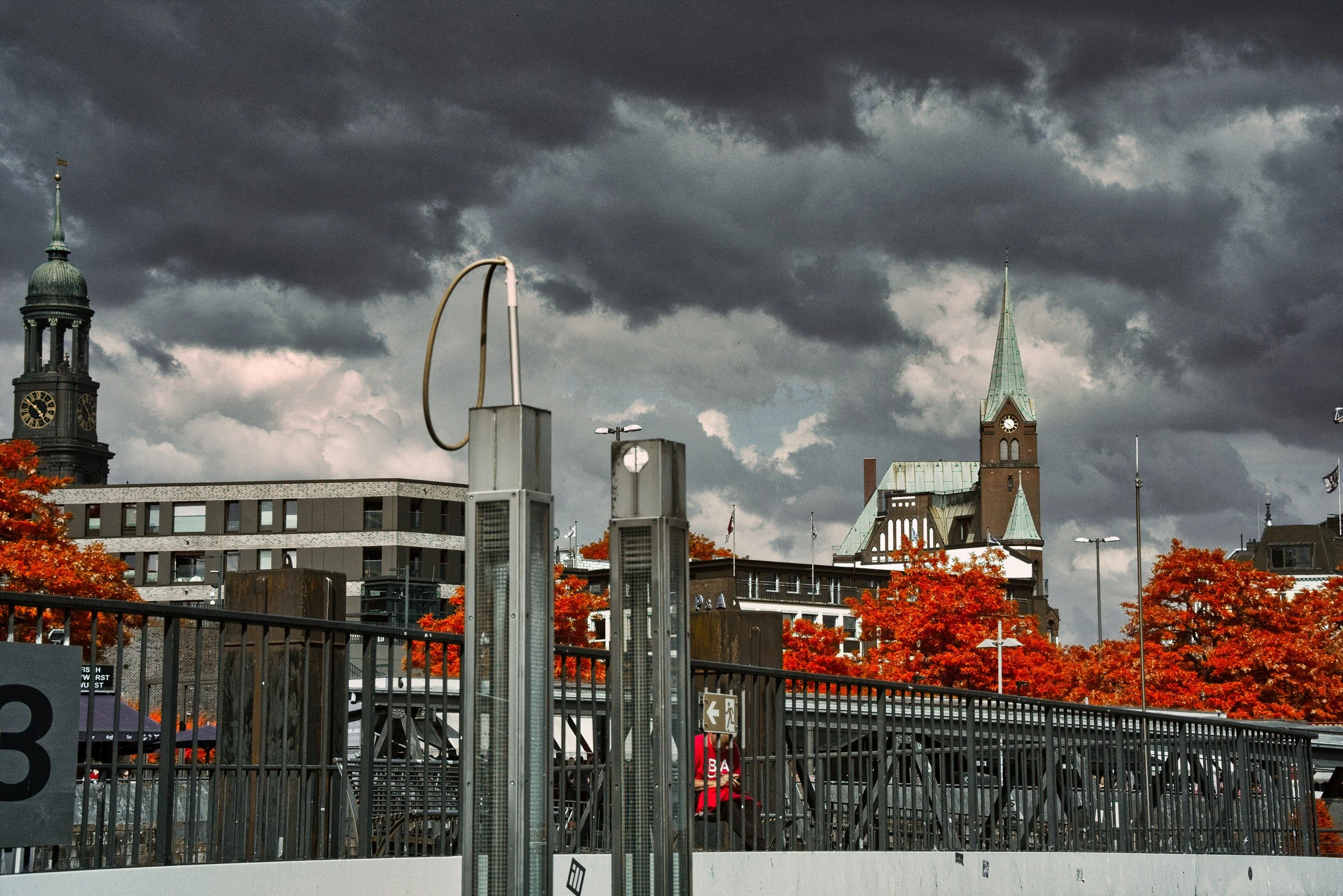 DSCF5527.jpg