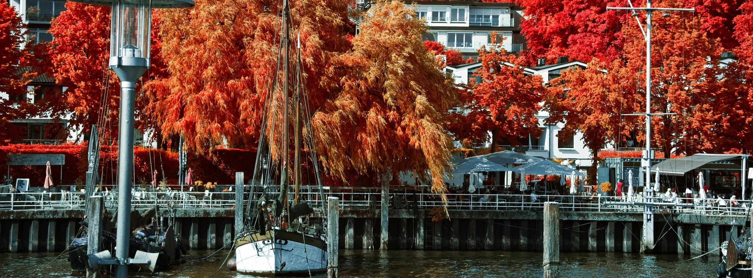 DSCF5550.jpg