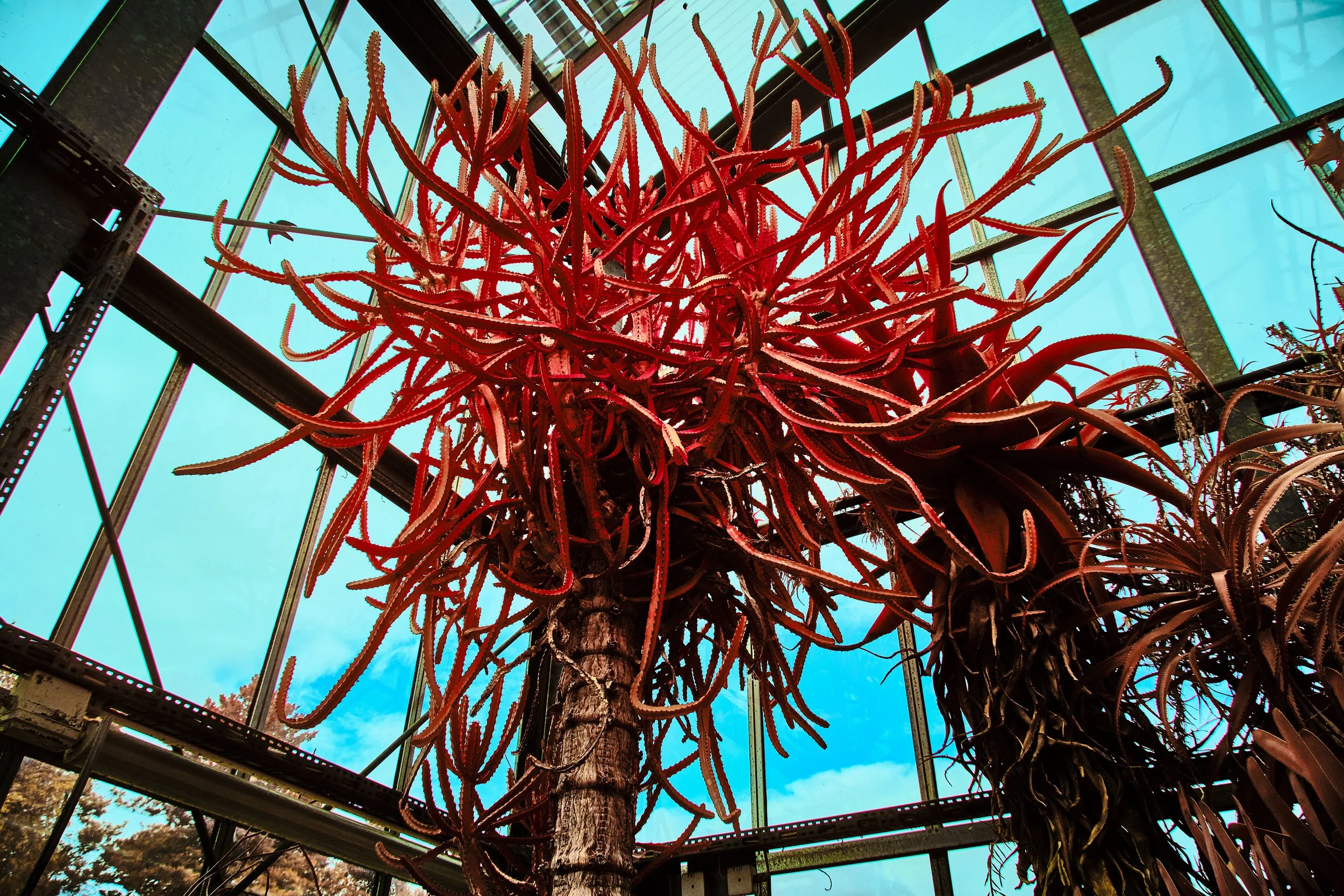 17.08.2026 Botanischer Garten 99.jpg