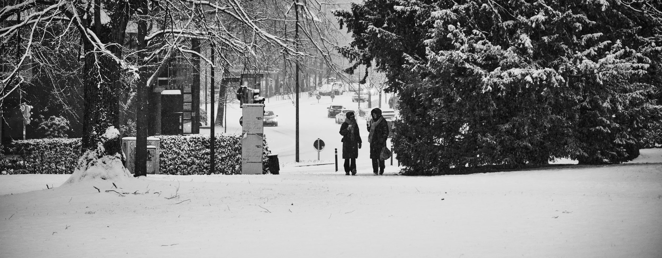 03.01.2025 Kiel Wintereinbruch 44.jpg