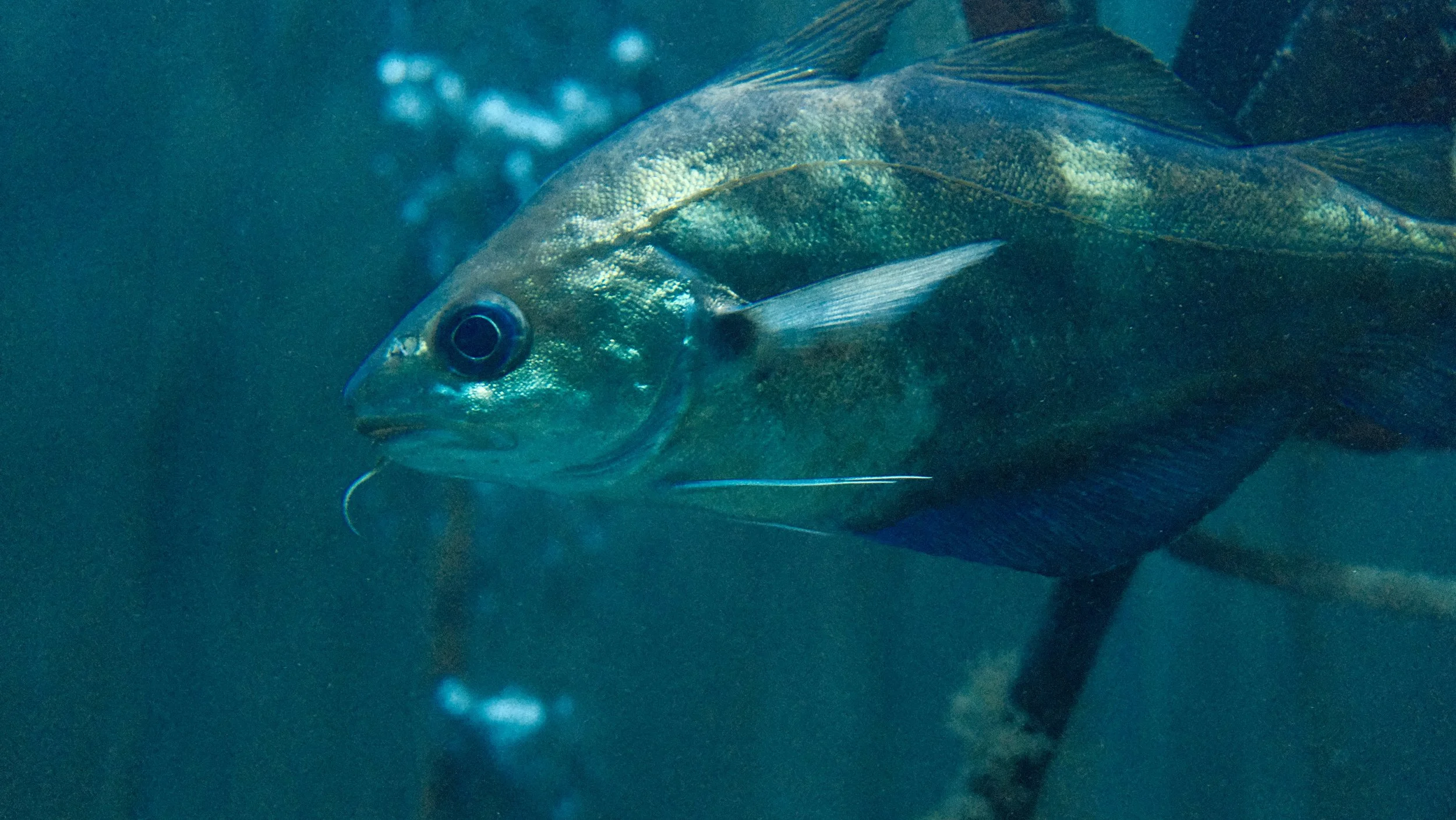 DSCF5857.JPG