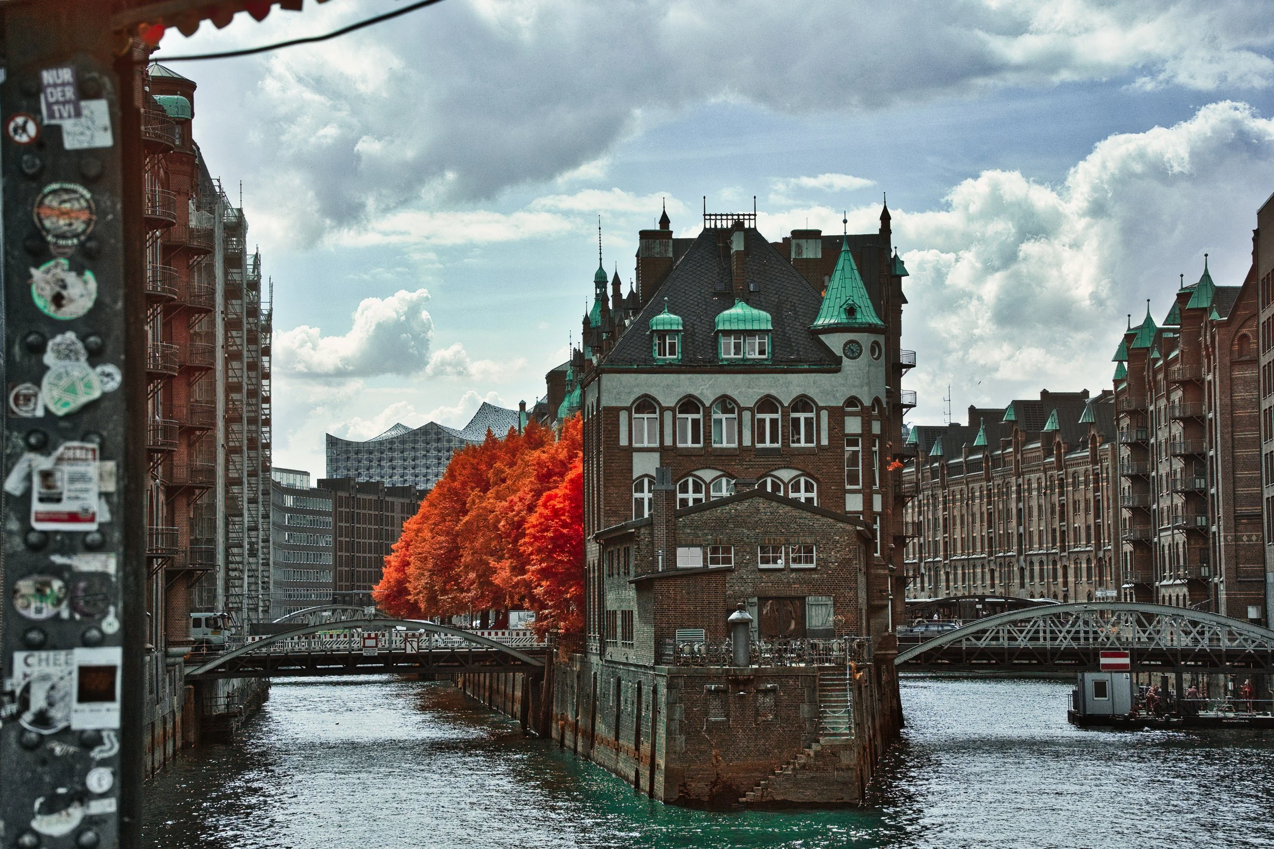 DSCF5449.jpg
