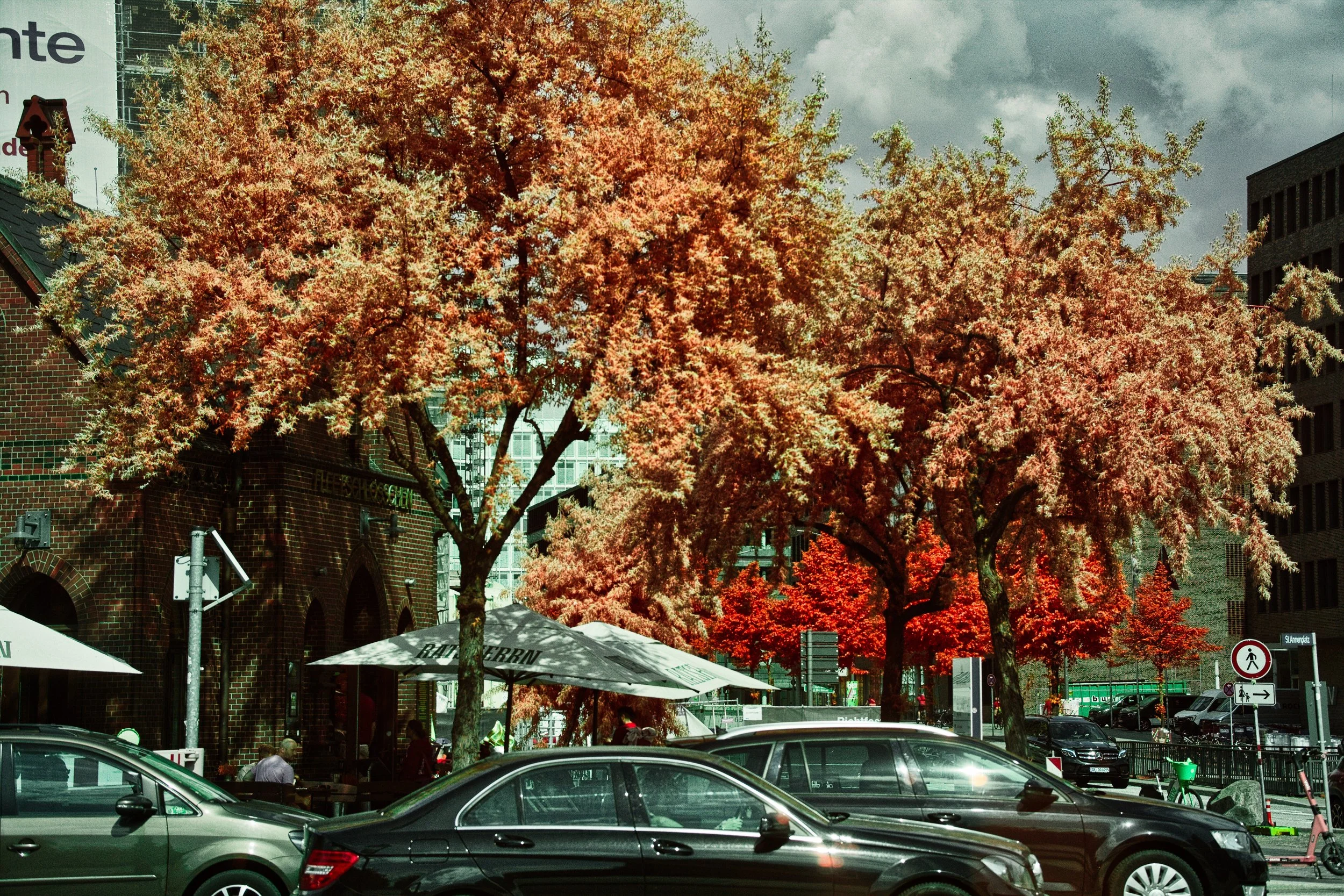 DSCF5493.jpg