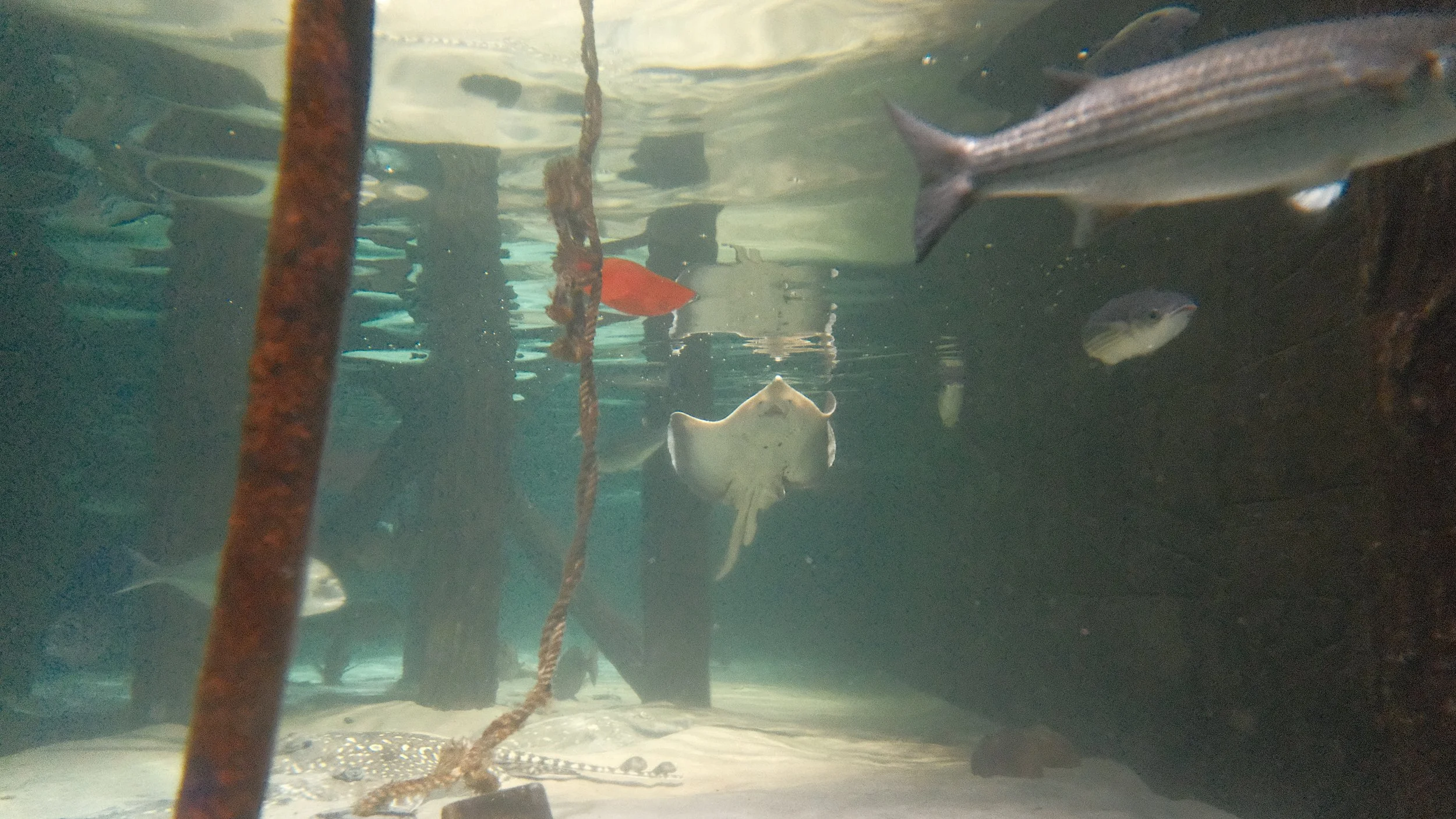 DSCF5982.JPG