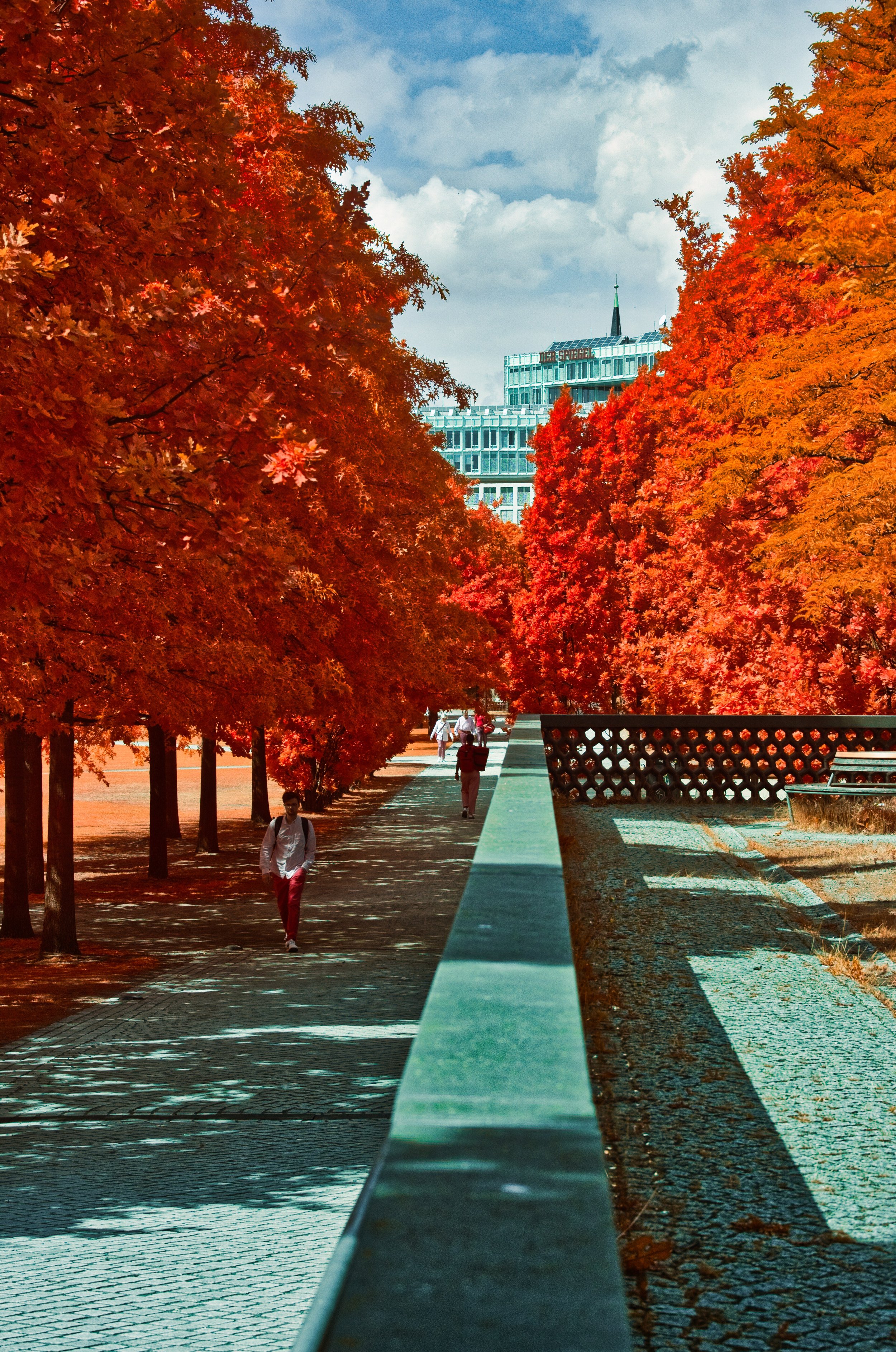 DSCF5447.jpg