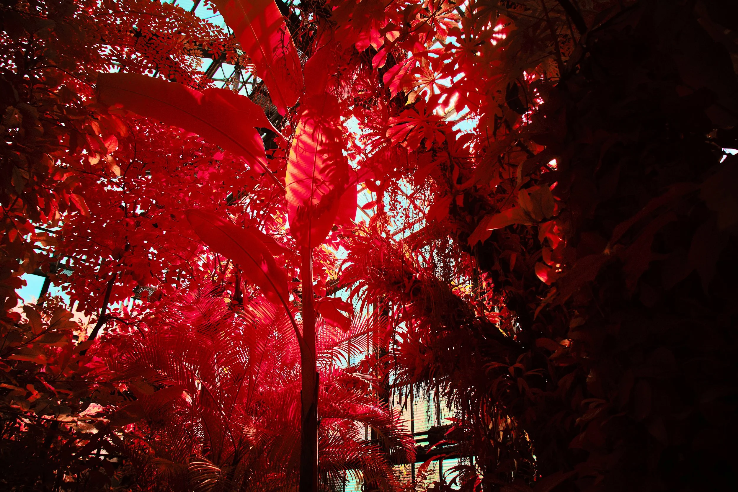 17.08.2026 Botanischer Garten 150.jpg
