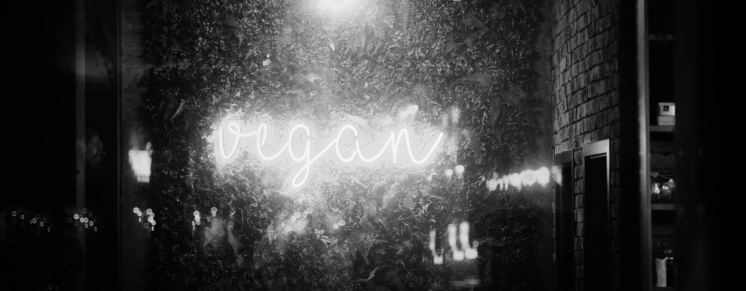 26.12.2025 Kiel 85.jpg