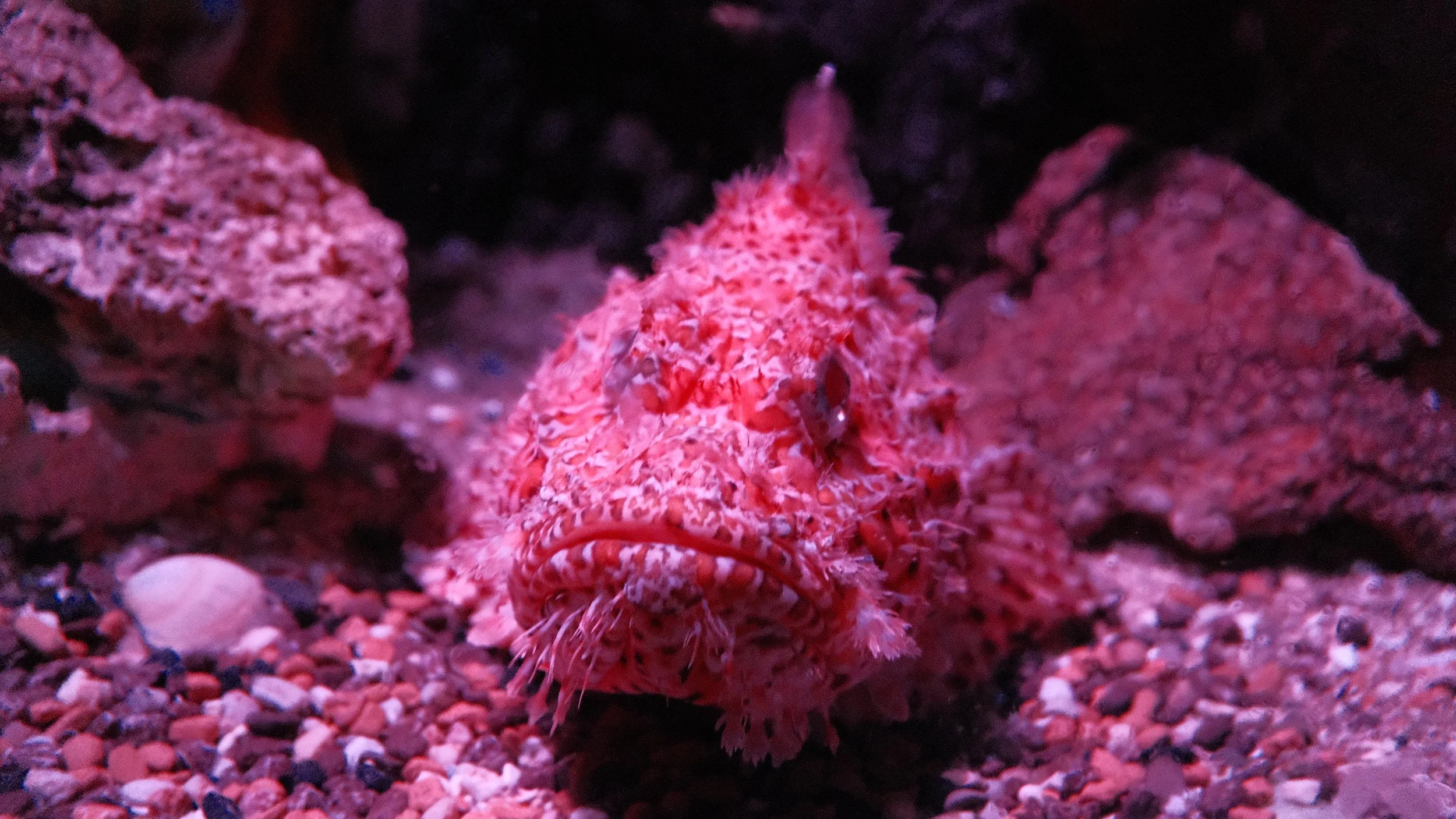 DSCF5899.JPG