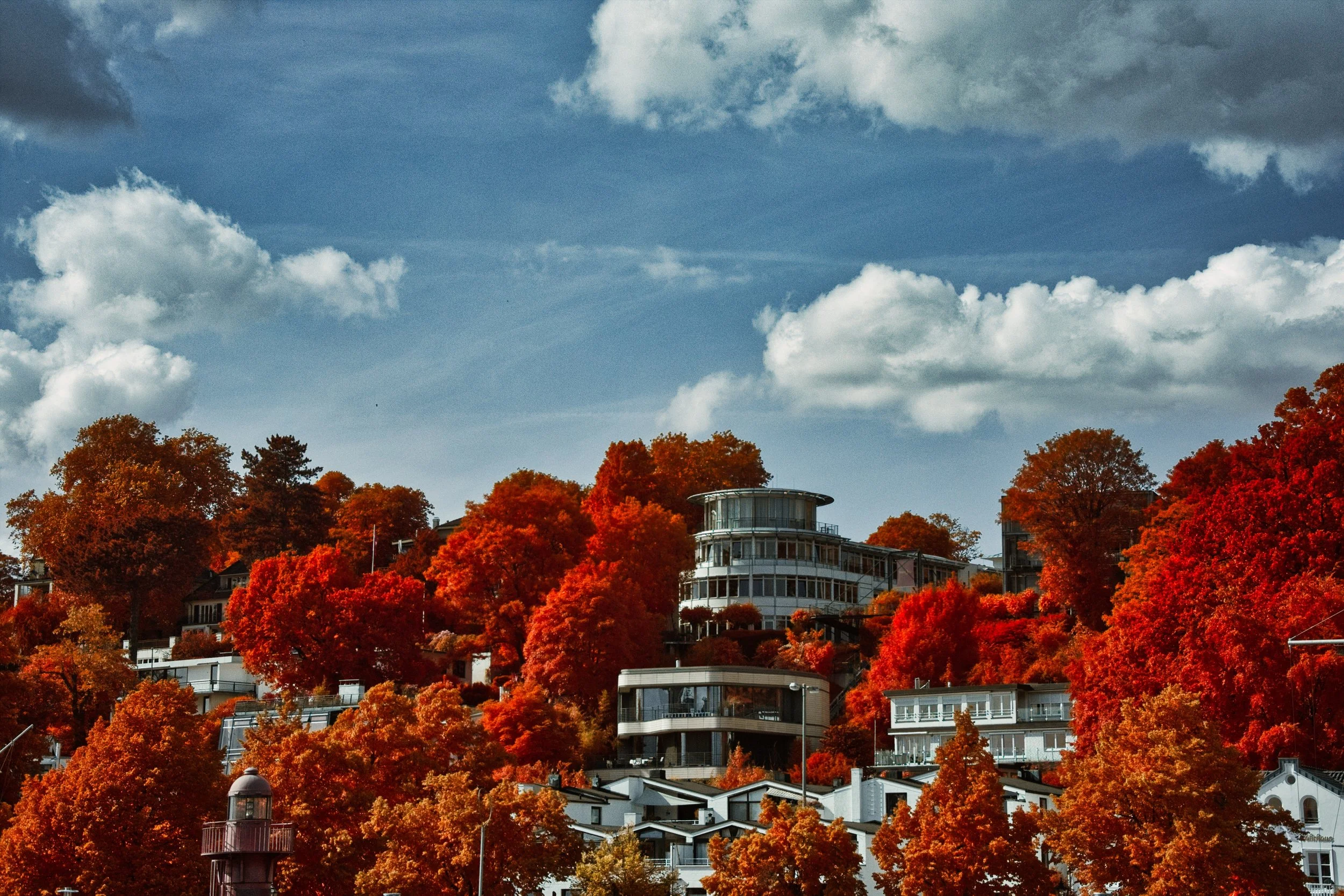 DSCF5548.jpg