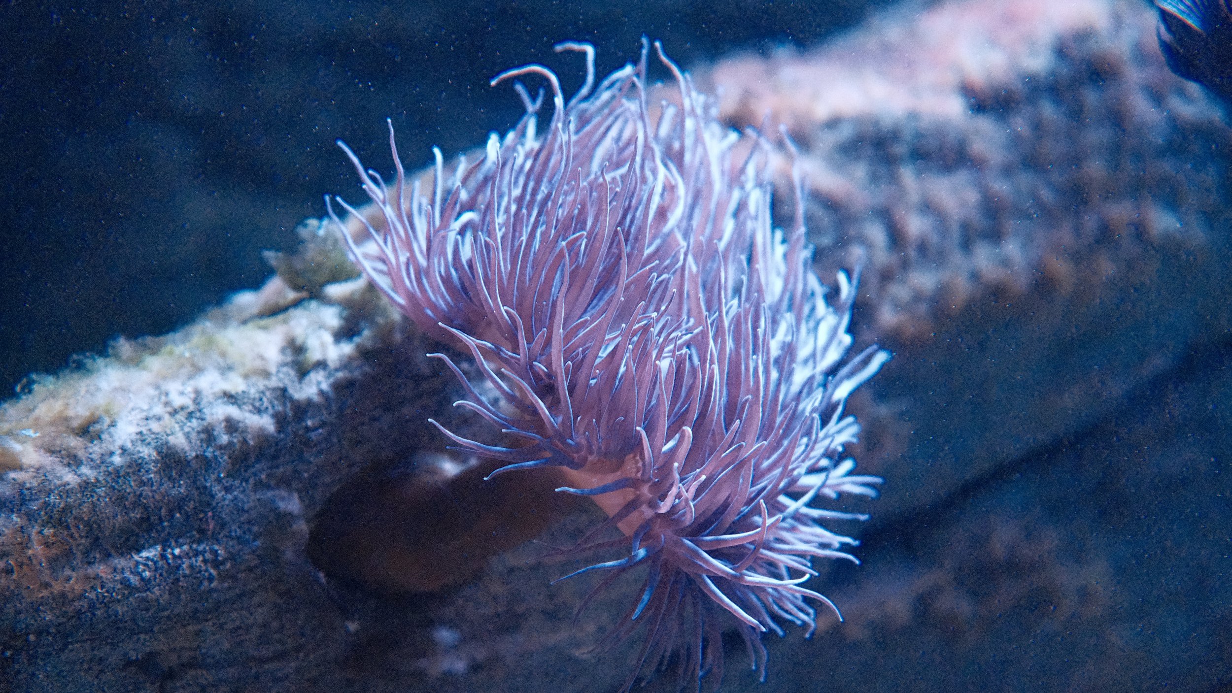 DSCF5974.JPG