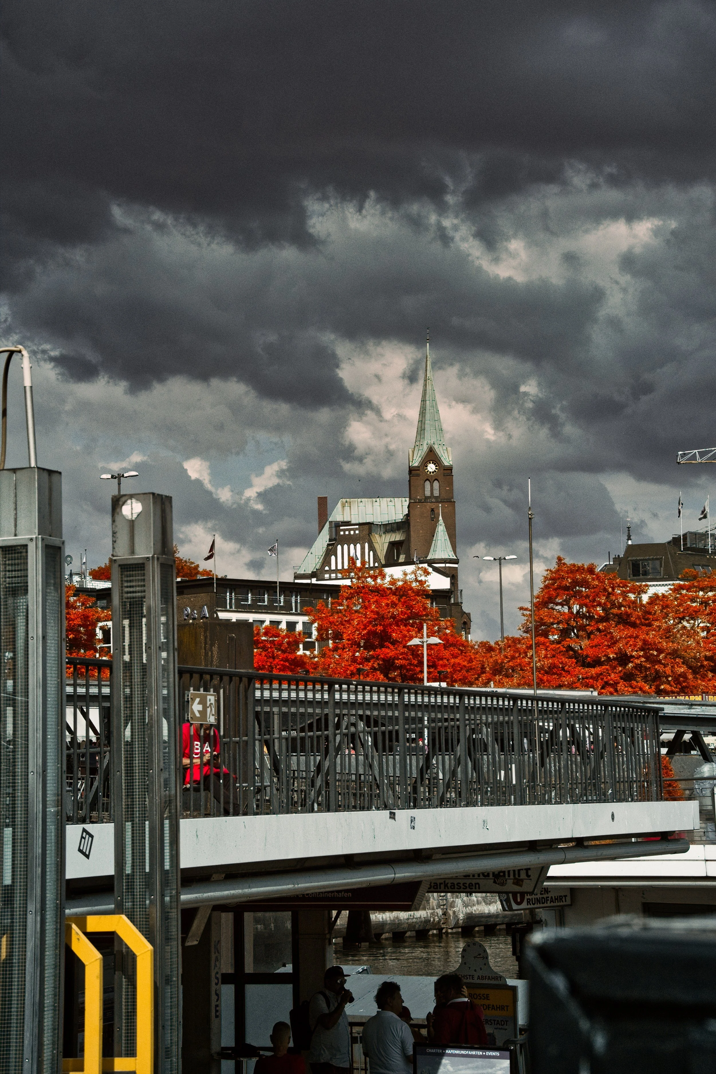 DSCF5529.jpg