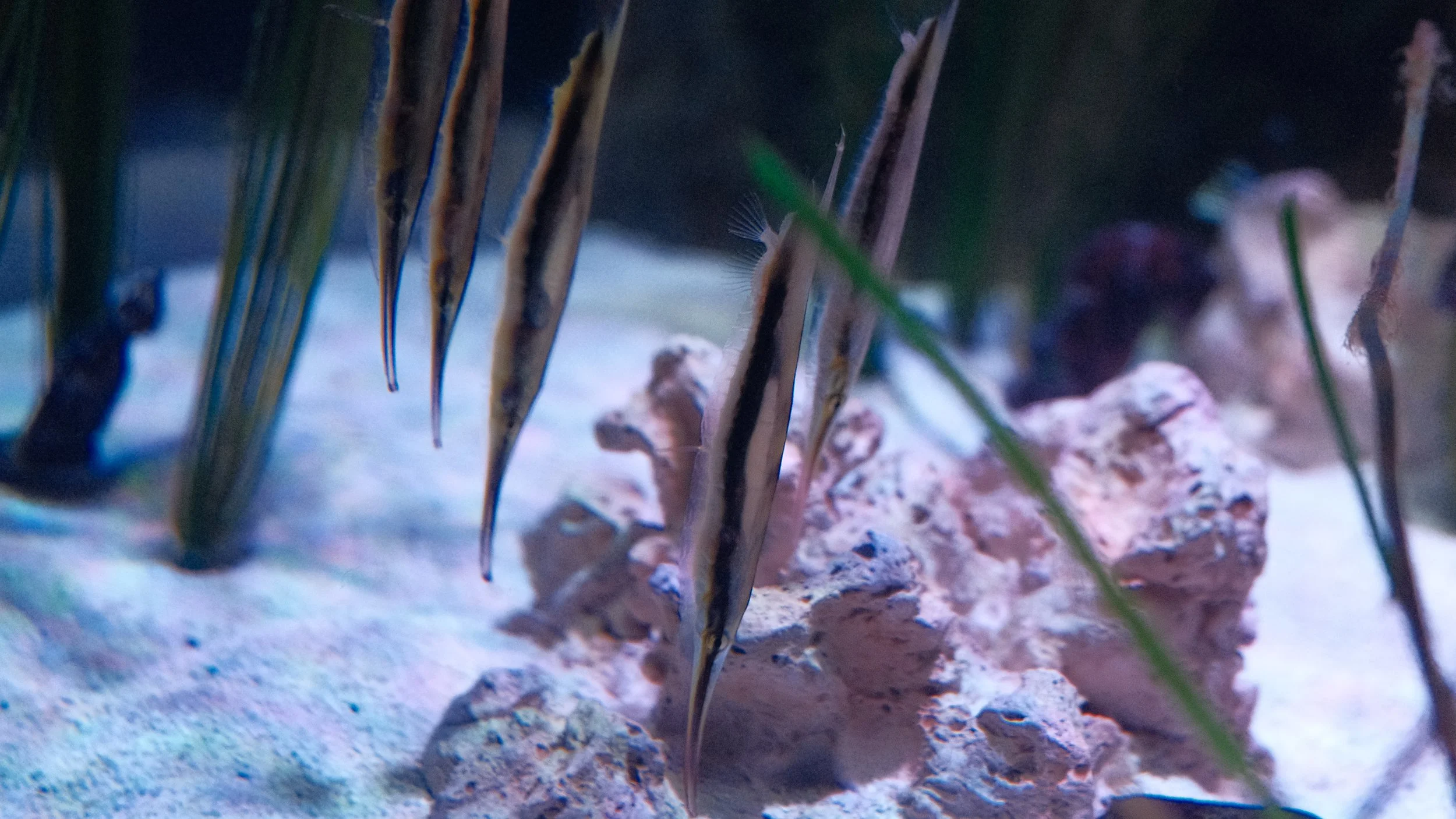 DSCF5918.JPG