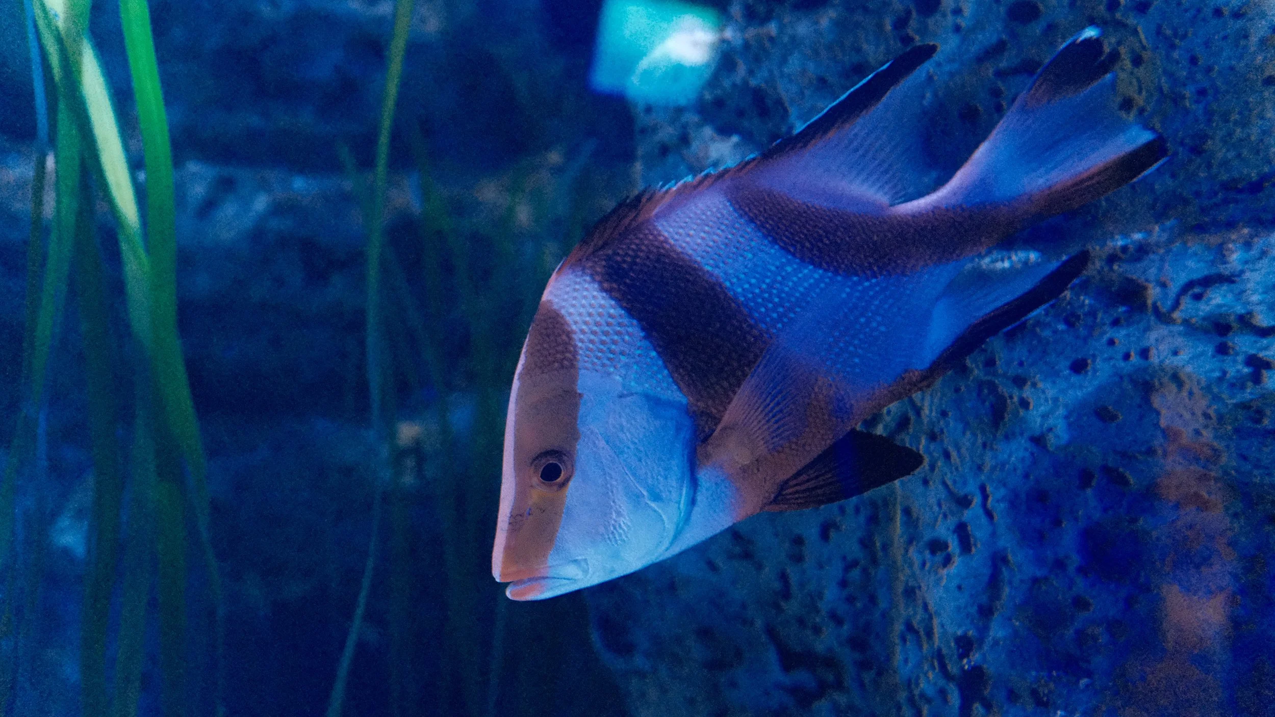 DSCF5972.JPG