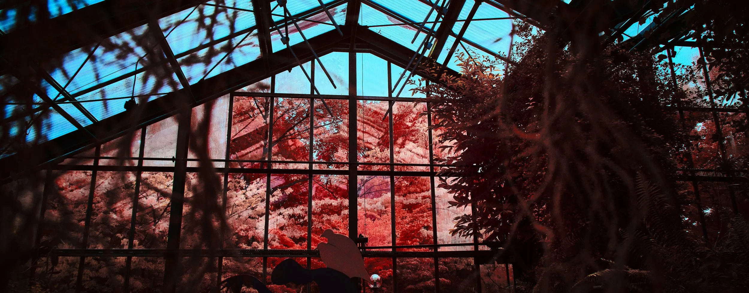 17.08.2026 Botanischer Garten 130.jpg