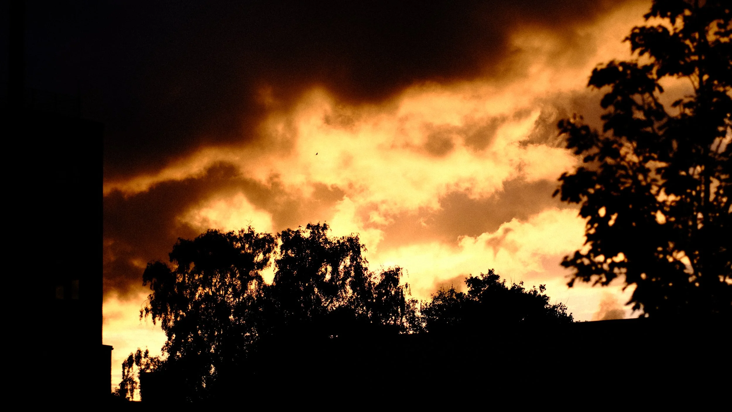 DSCF6984.JPG