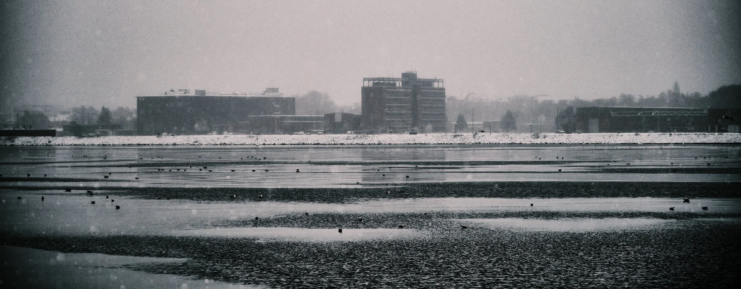 03.01.2025 Kiel Wintereinbruch 39.jpg
