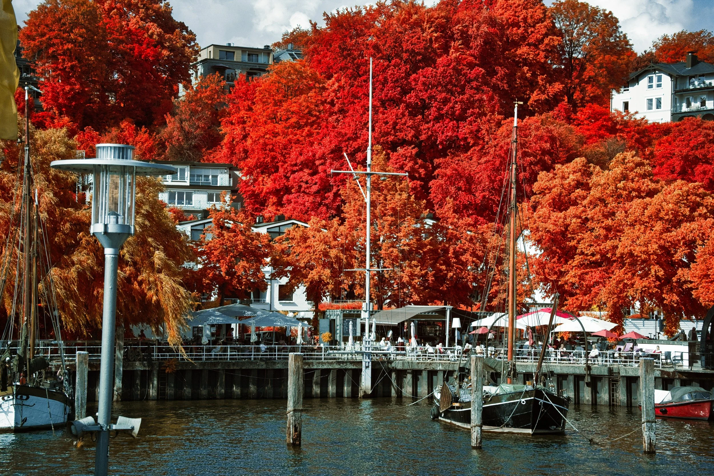 DSCF5551.jpg