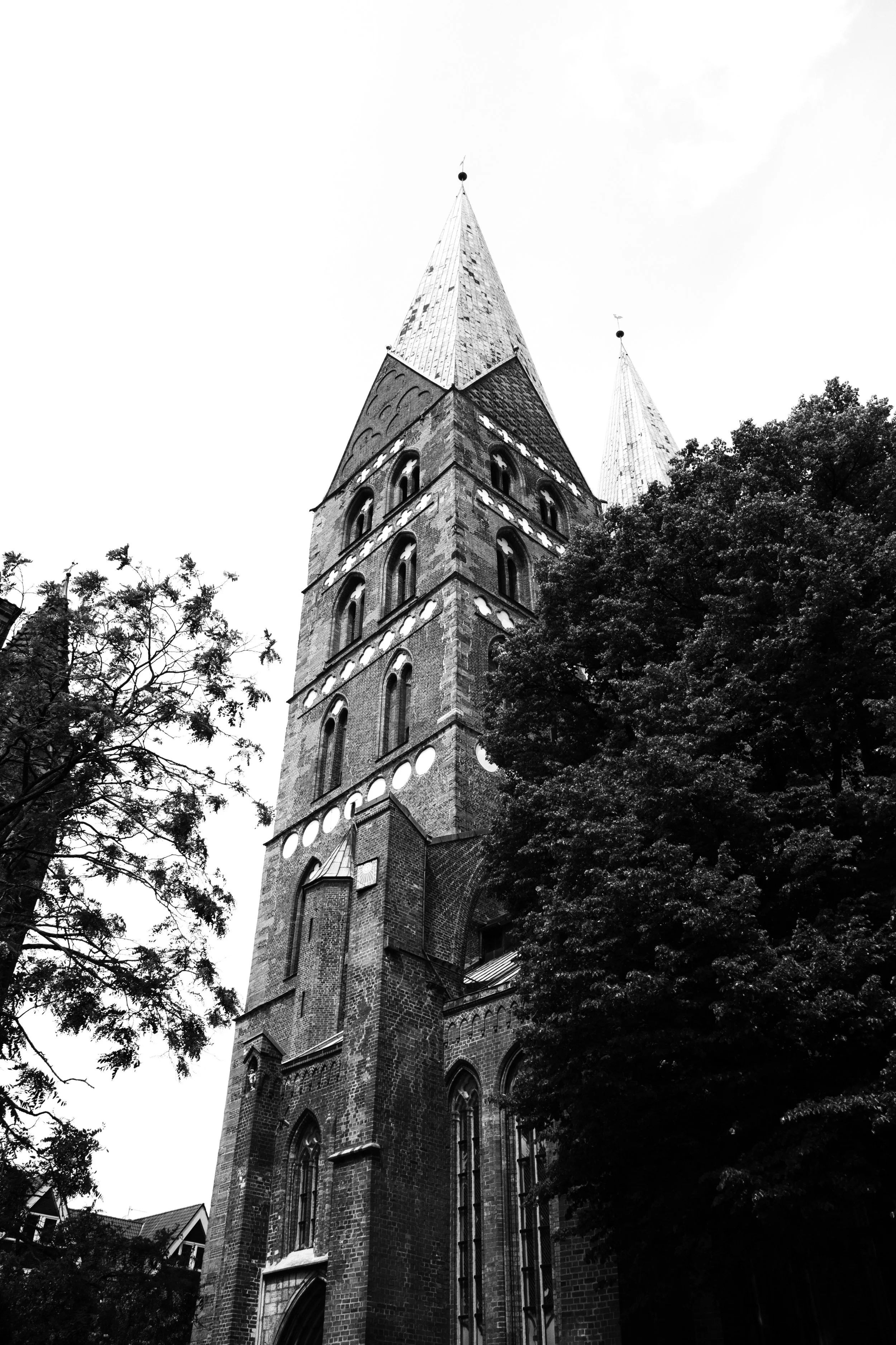 DSCF4989.jpg