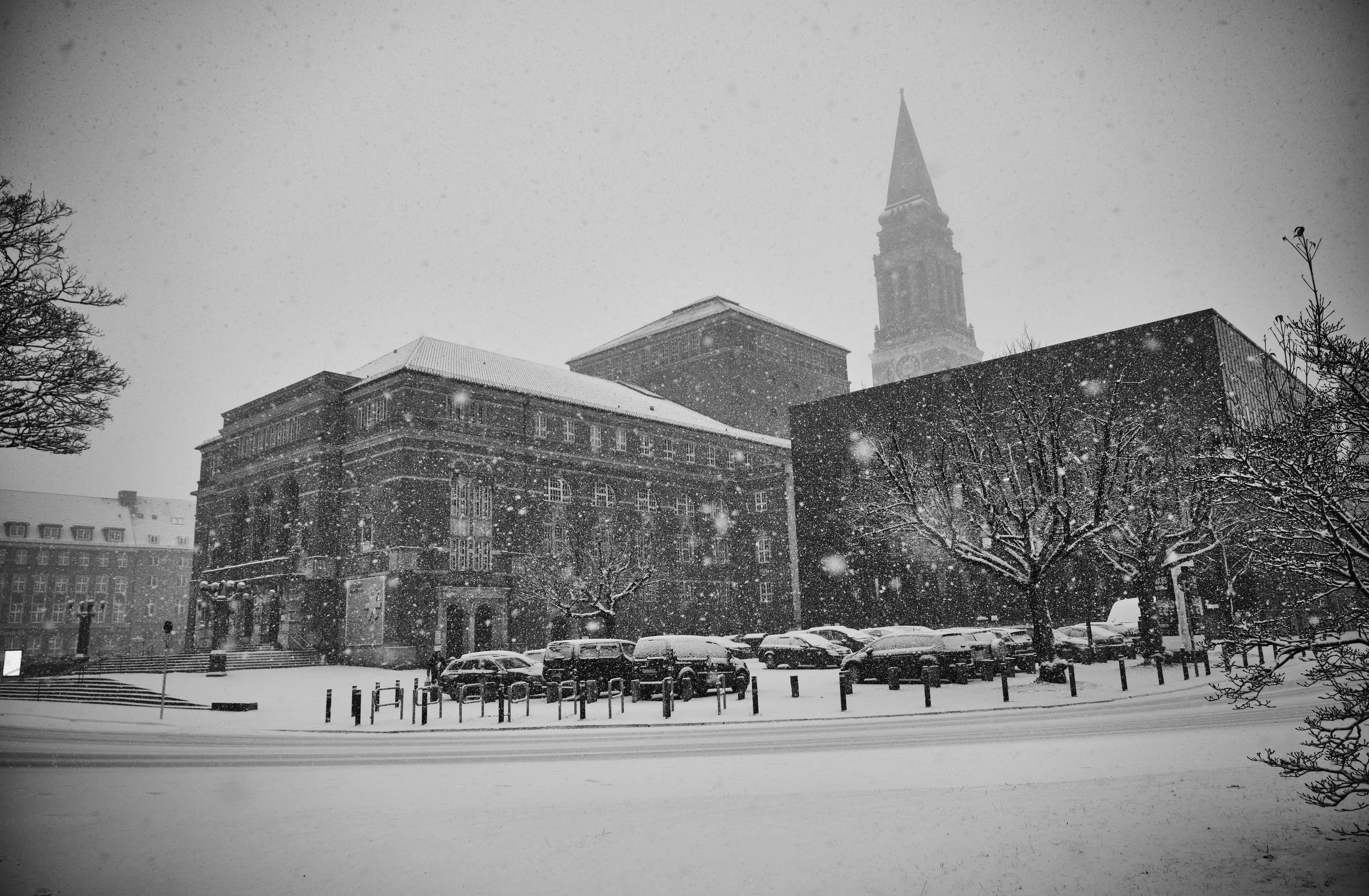 03.01.2025 Kiel Wintereinbruch 2.jpg