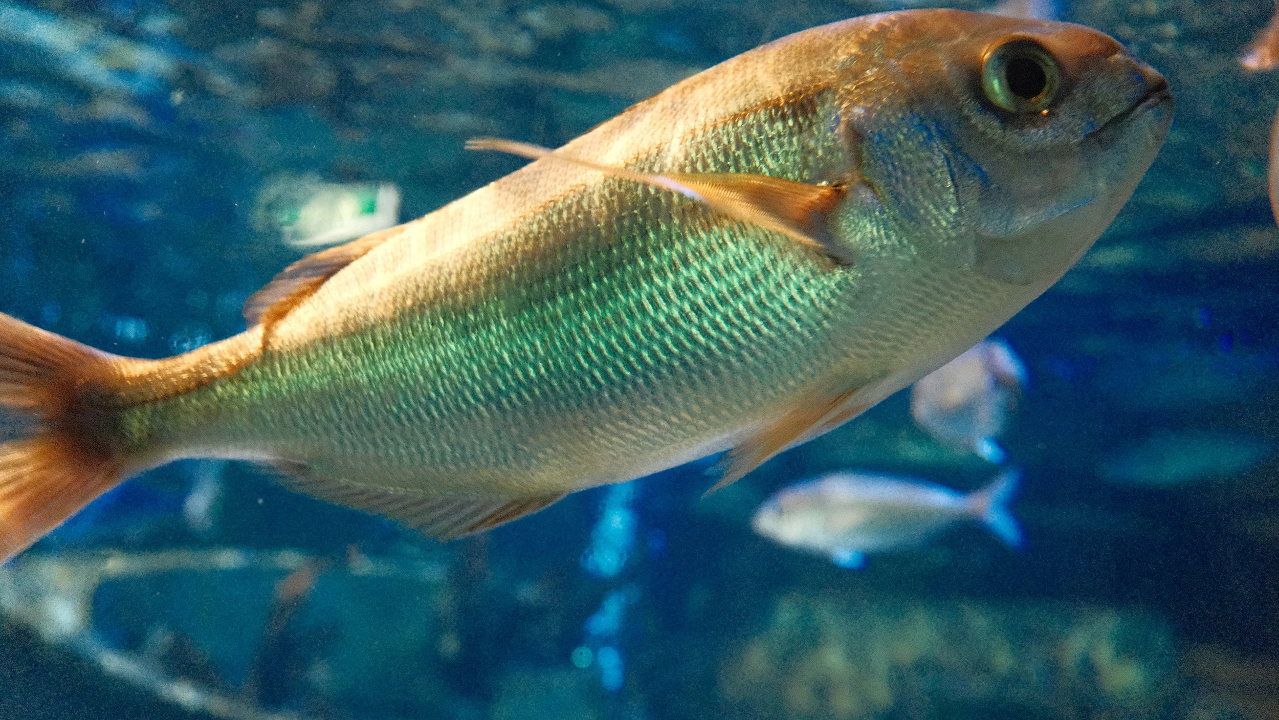 DSCF5869.JPG