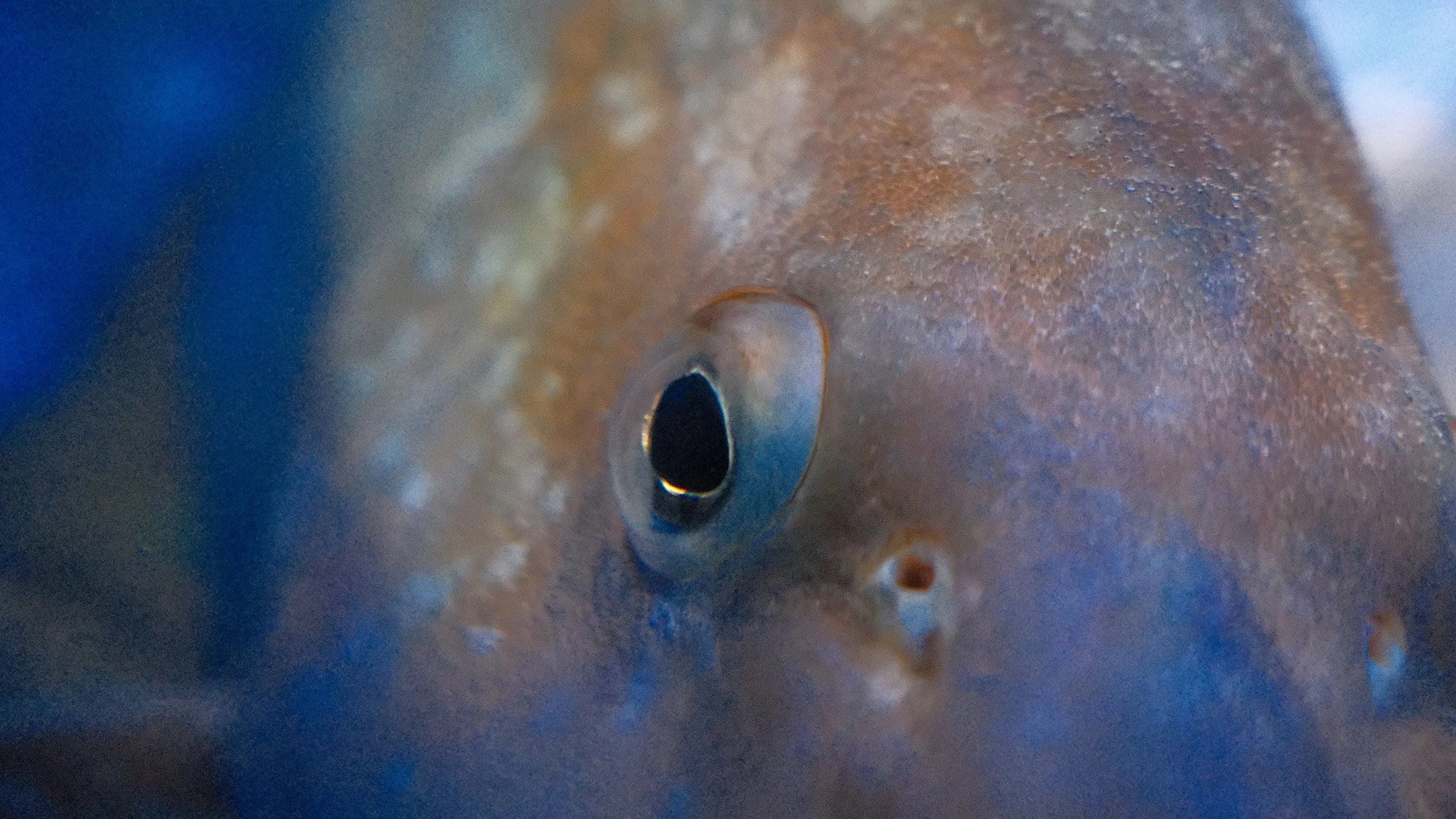 DSCF5867.JPG