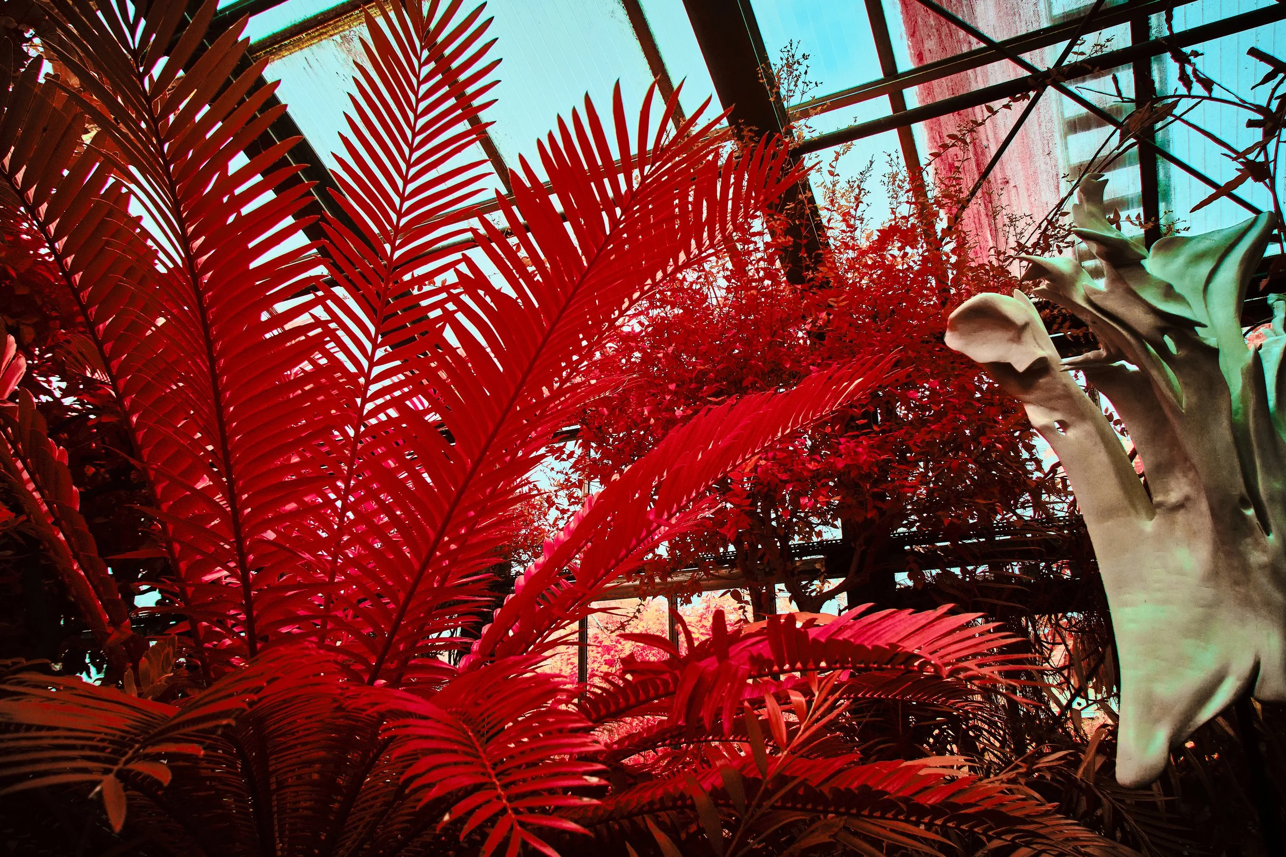 17.08.2026 Botanischer Garten 73.jpg
