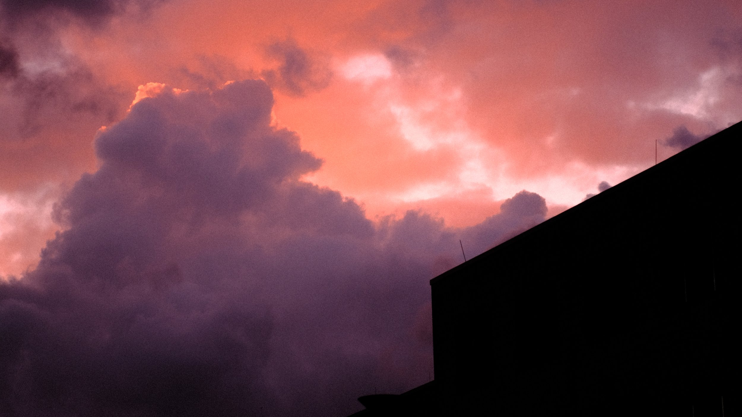 DSCF7008.JPG