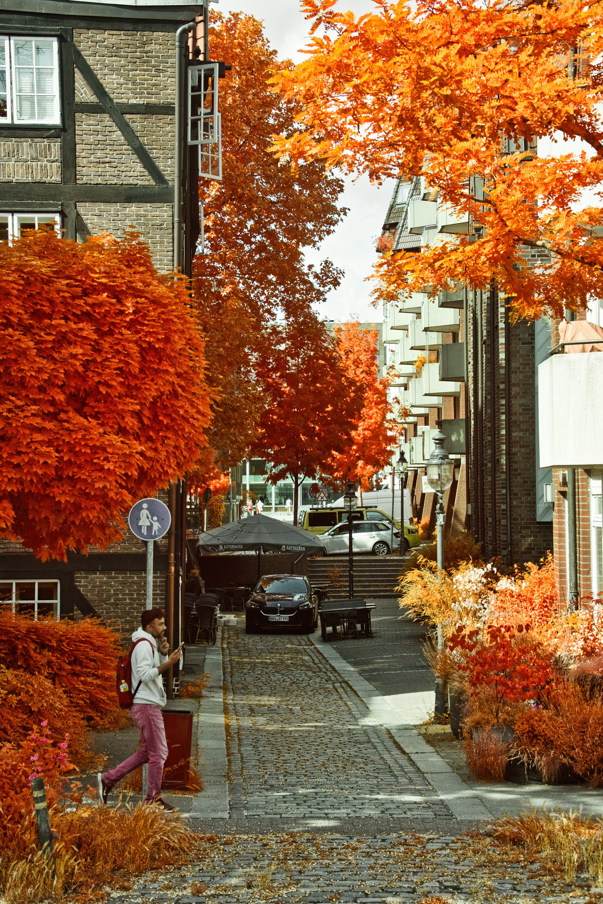 DSCF5509.jpg