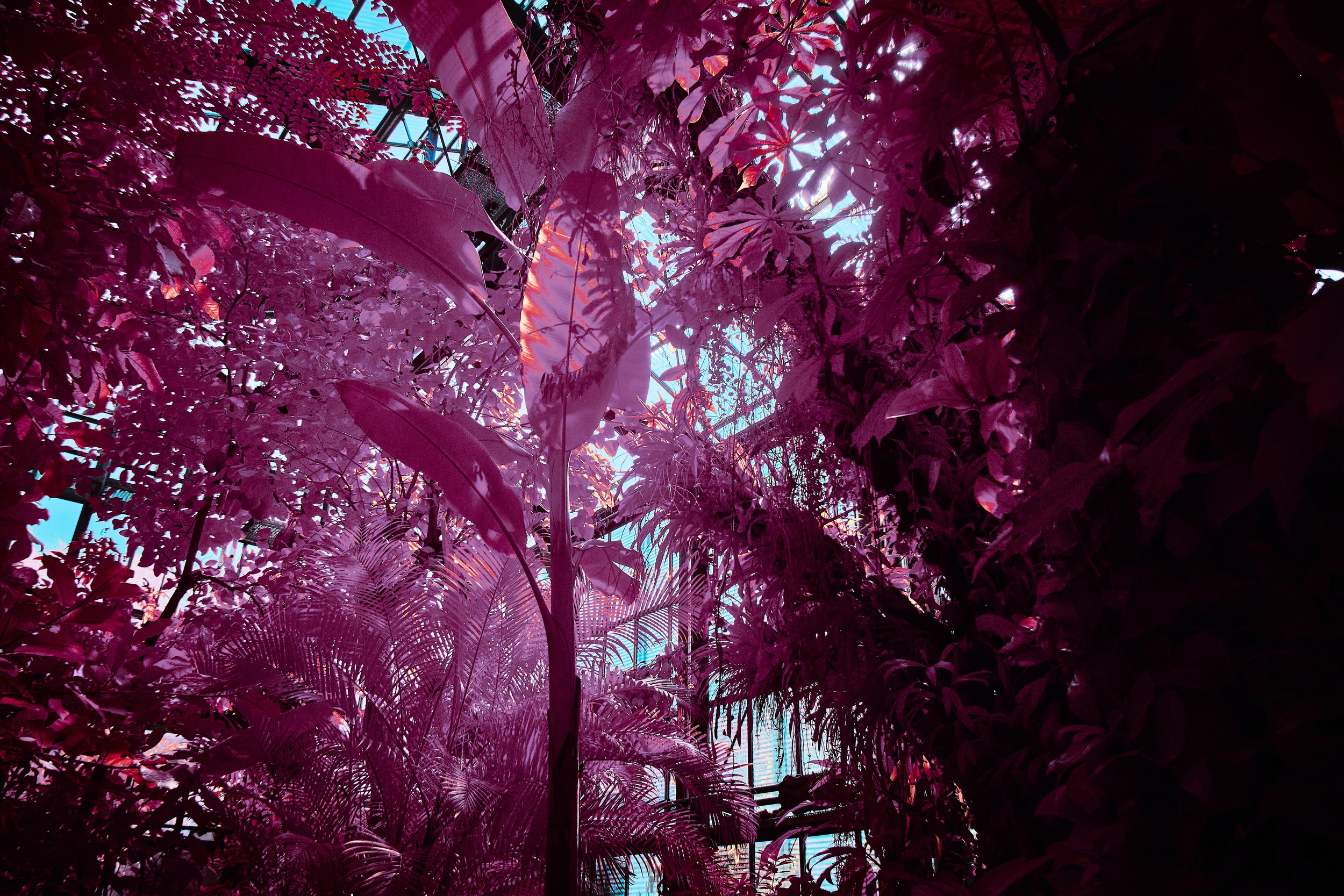 17.08.2026 Botanischer Garten 151.jpg