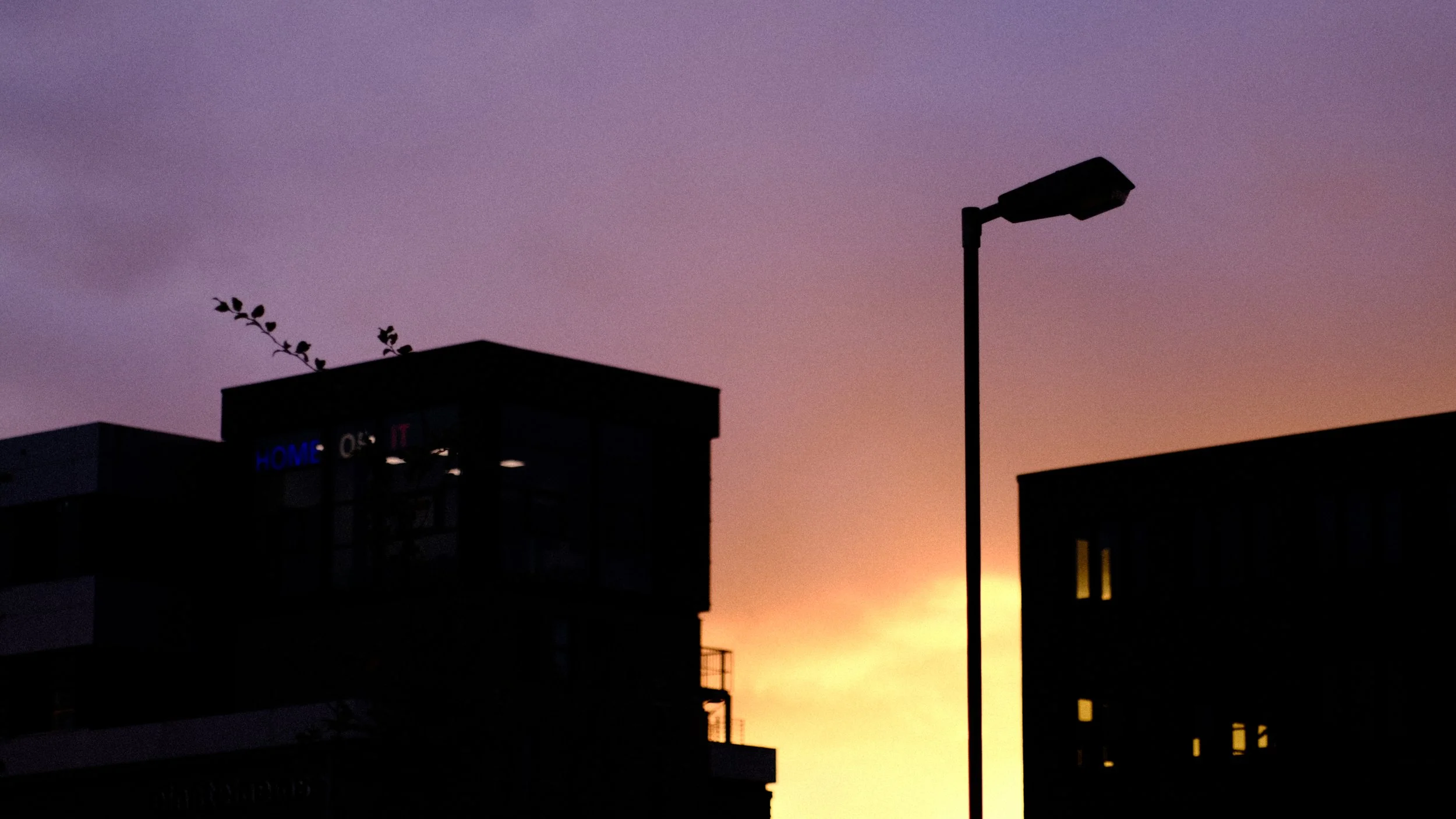 DSCF6977.JPG
