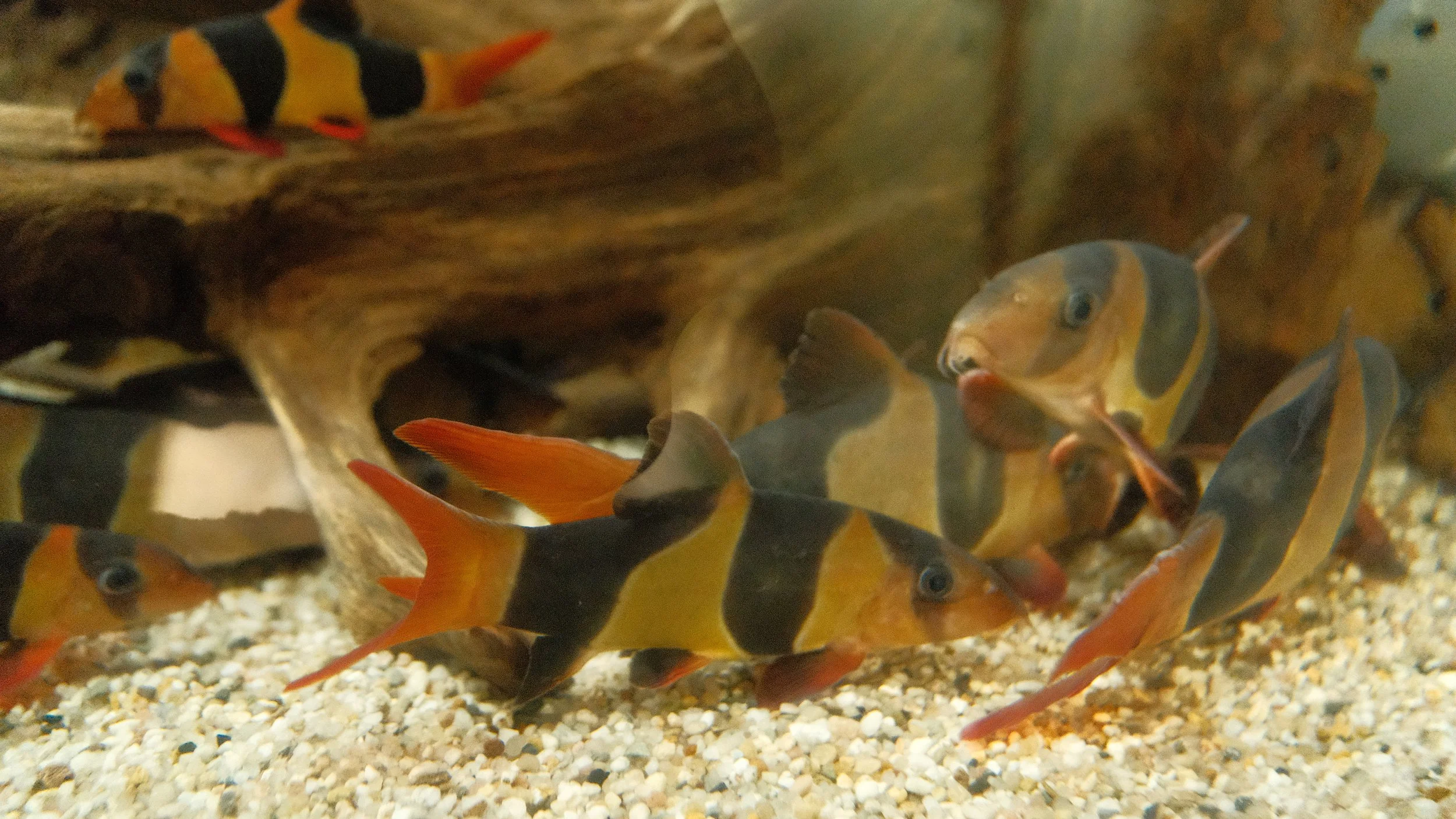 DSCF5848.JPG