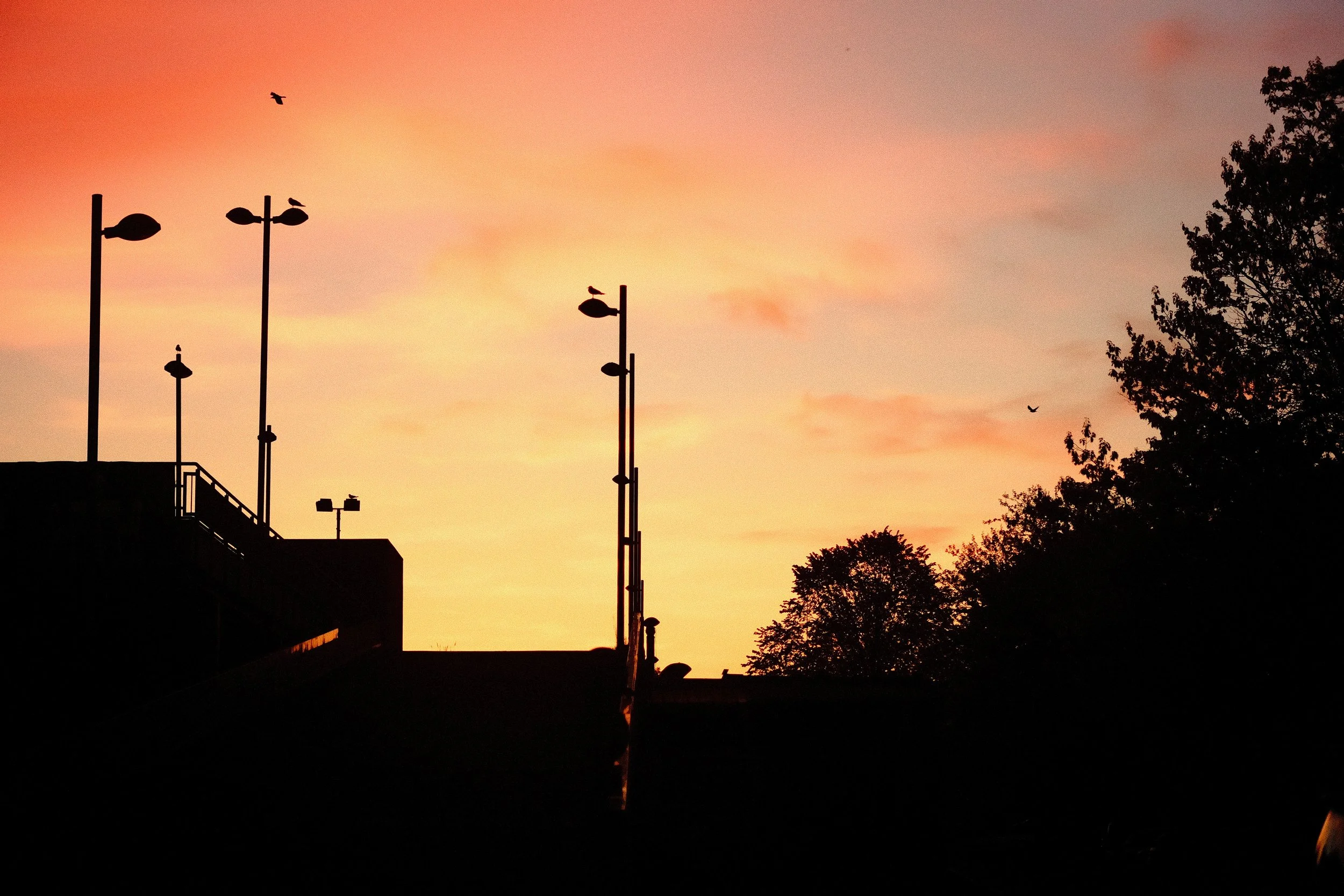 DSCF4422.JPG