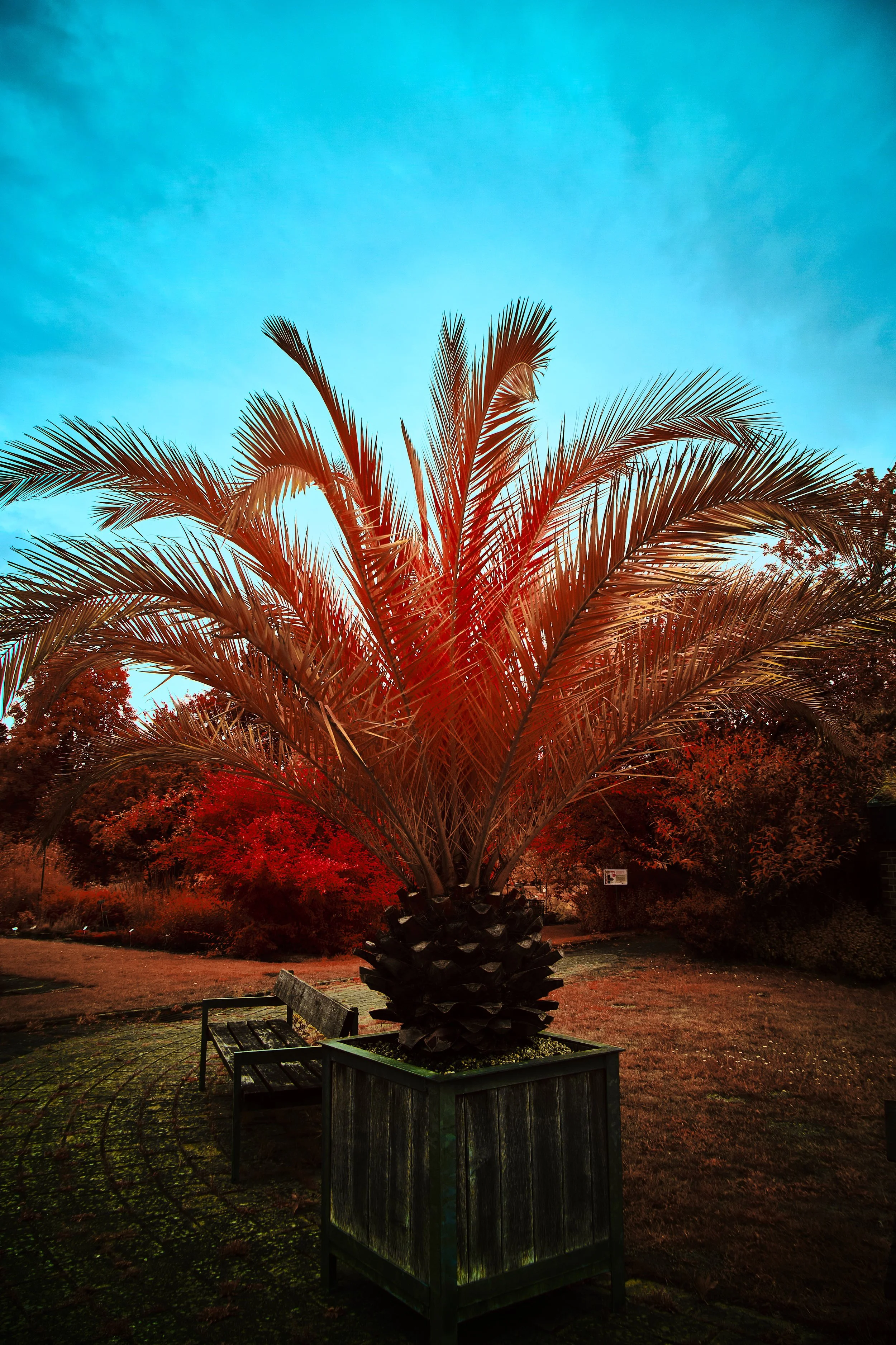 17.08.2026 Botanischer Garten.jpg