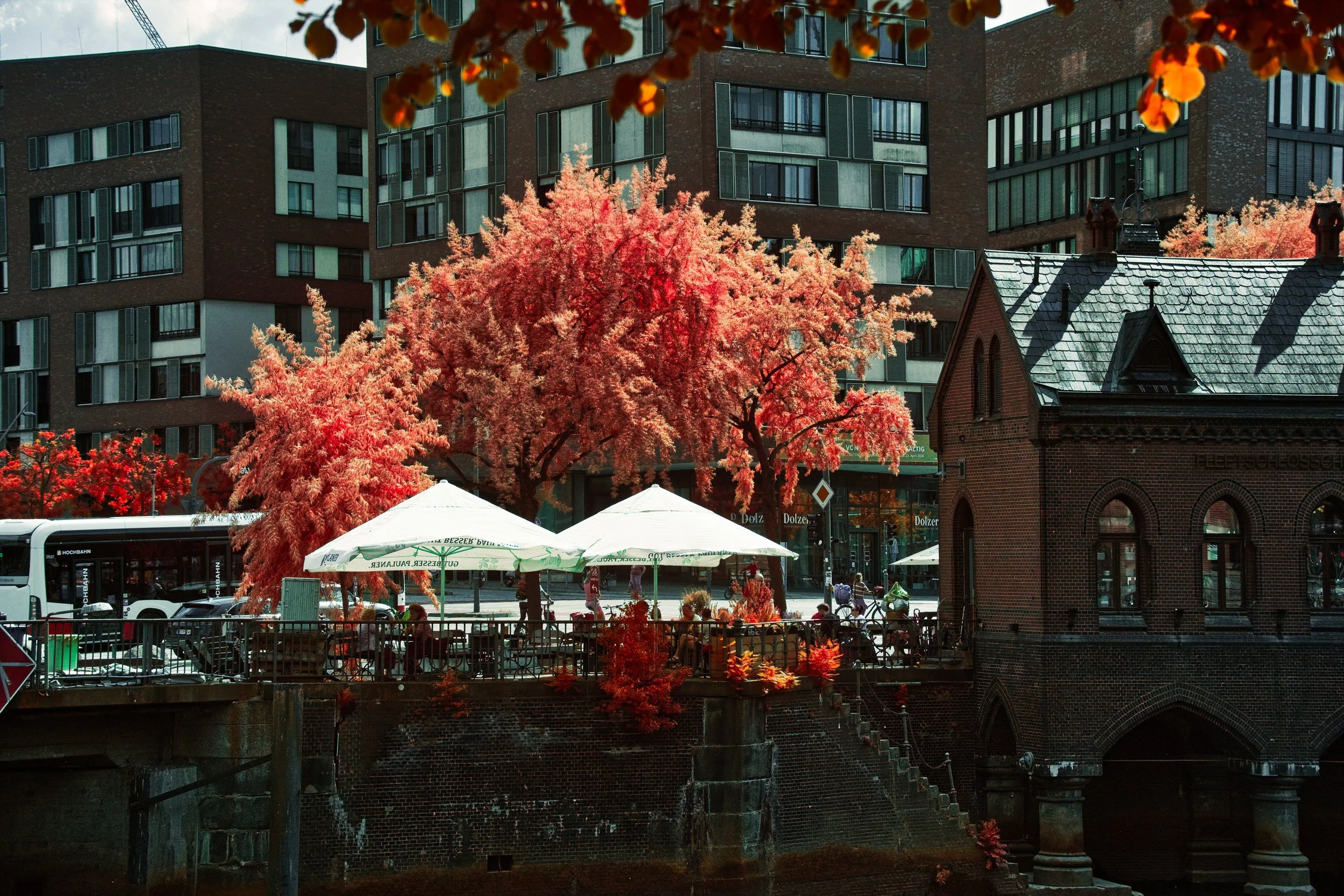 DSCF5488.jpg