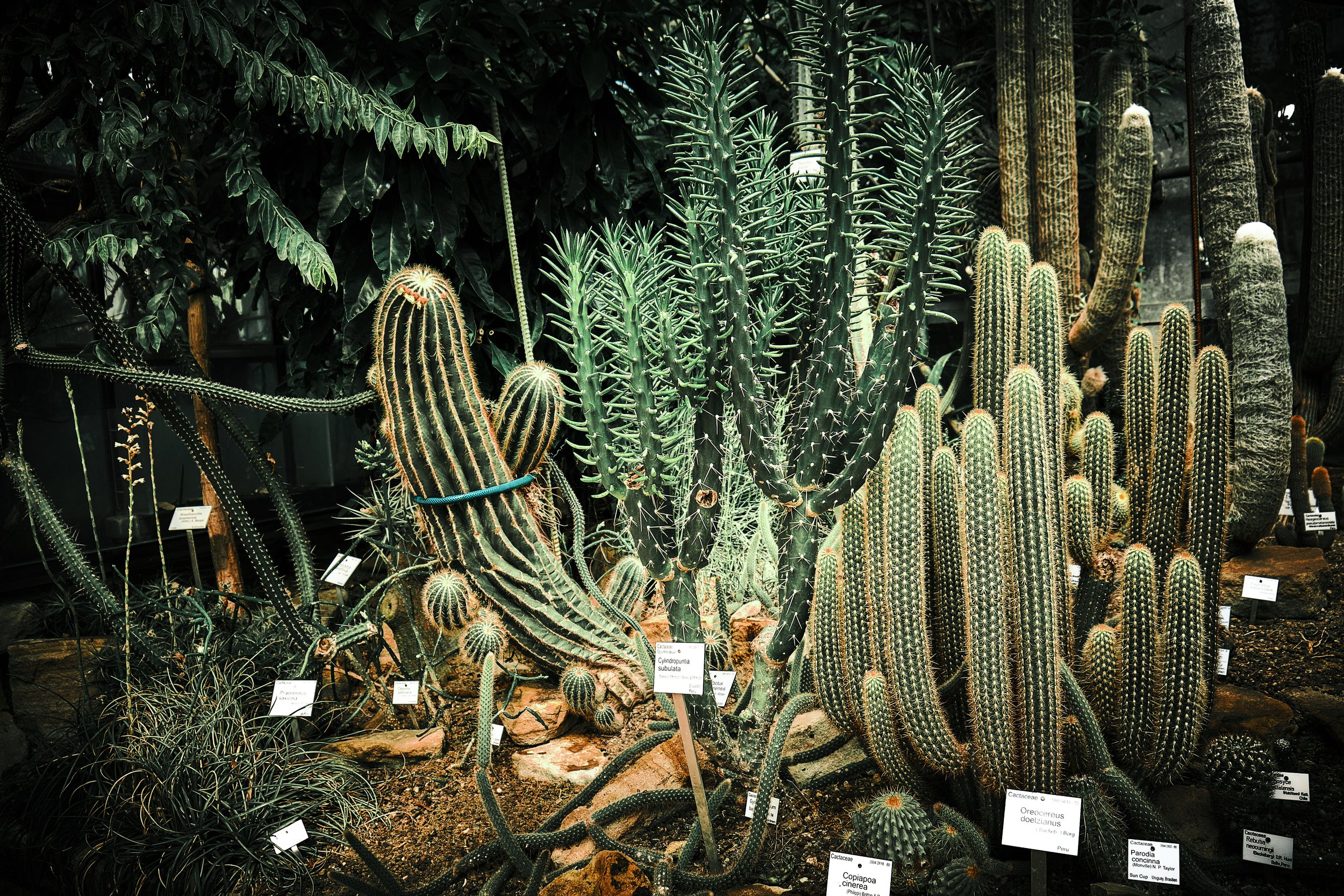 17.08.2026 Botanischer Garten (Anja) 50.jpg