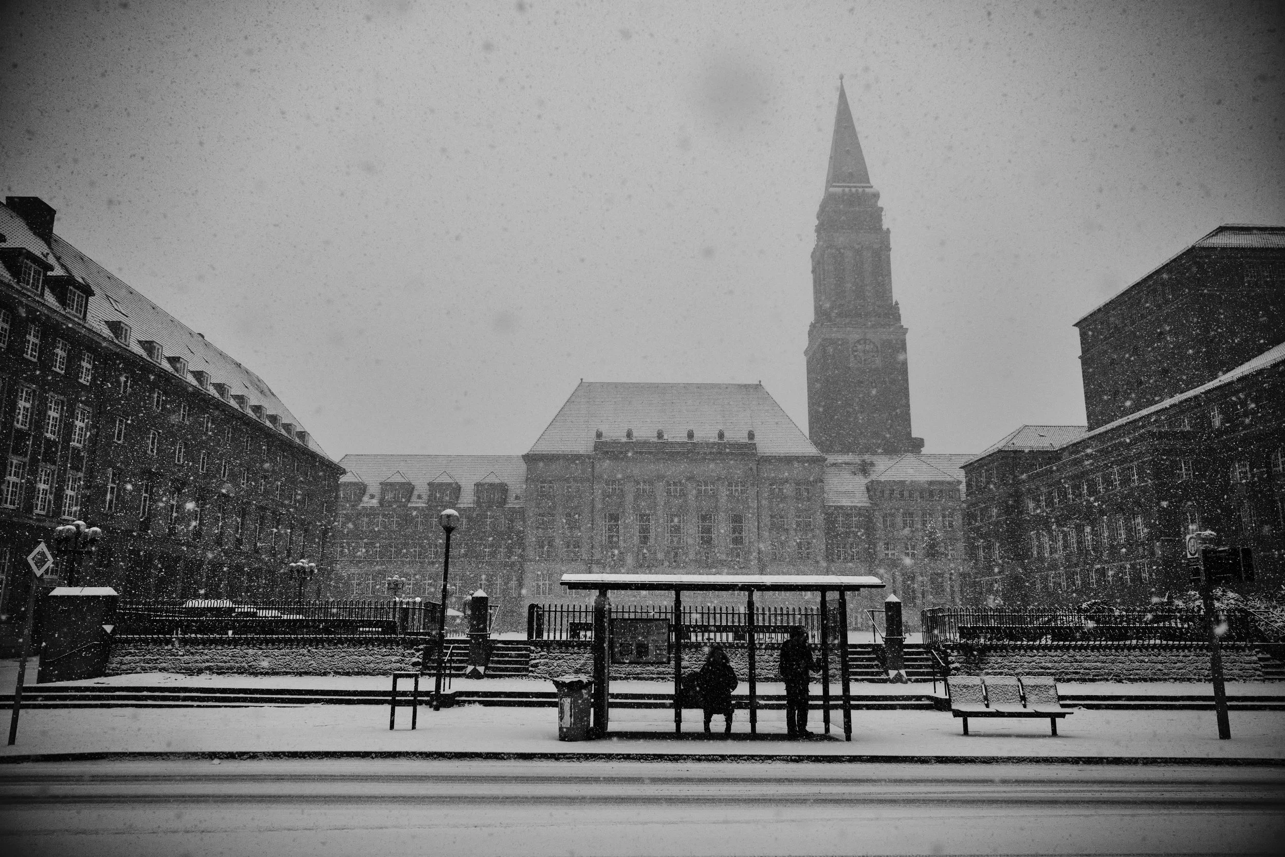 03.01.2025 Kiel Wintereinbruch 4.jpg