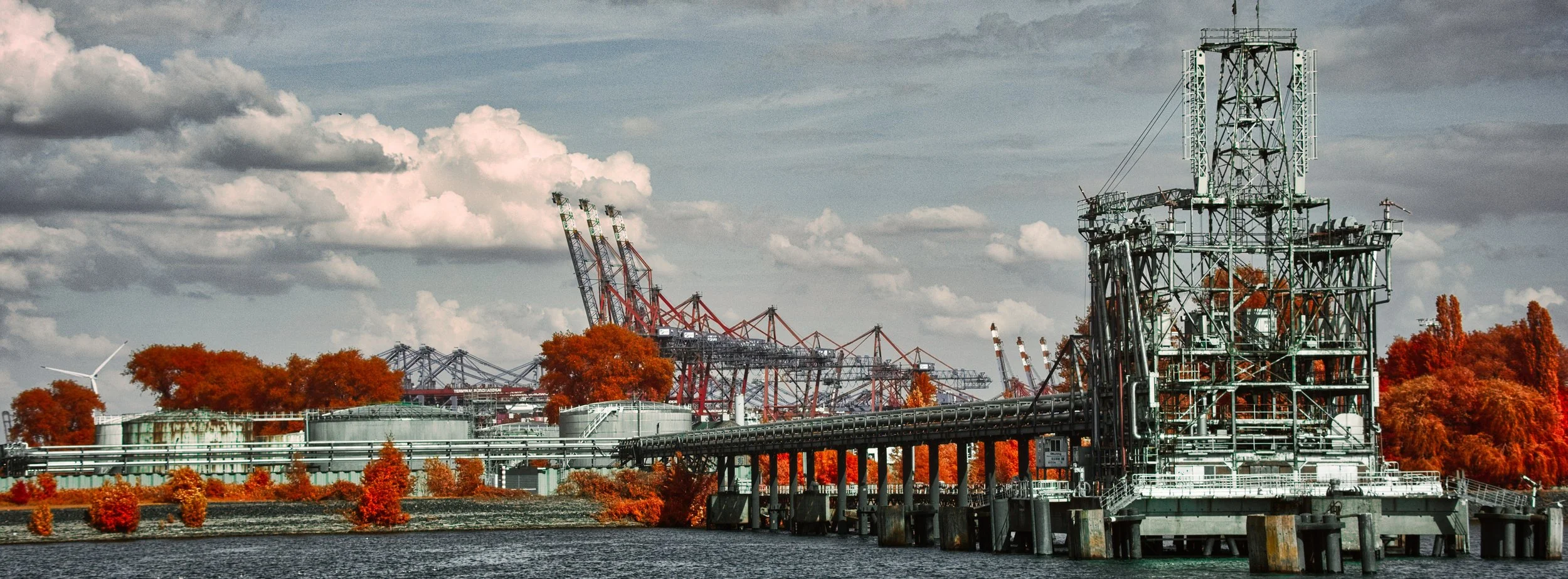 DSCF5585.jpg