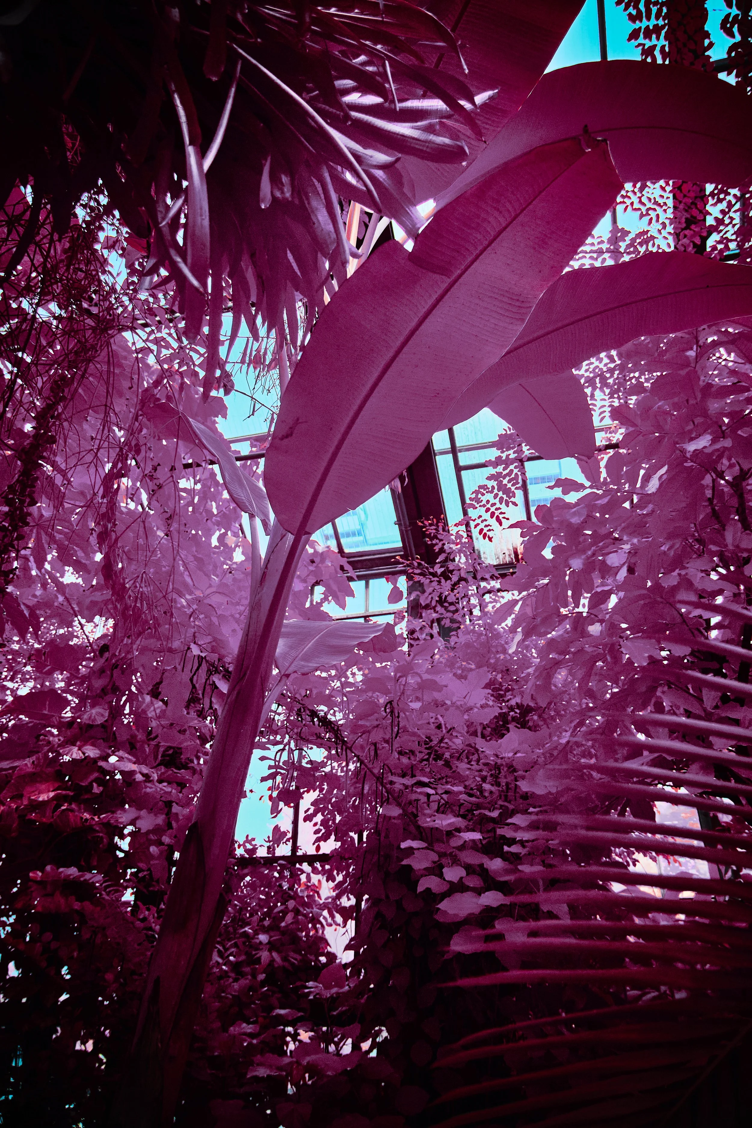 17.08.2026 Botanischer Garten 158.jpg