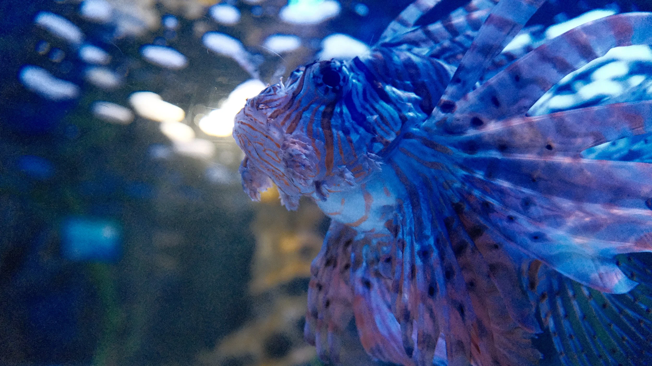 DSCF5965.JPG
