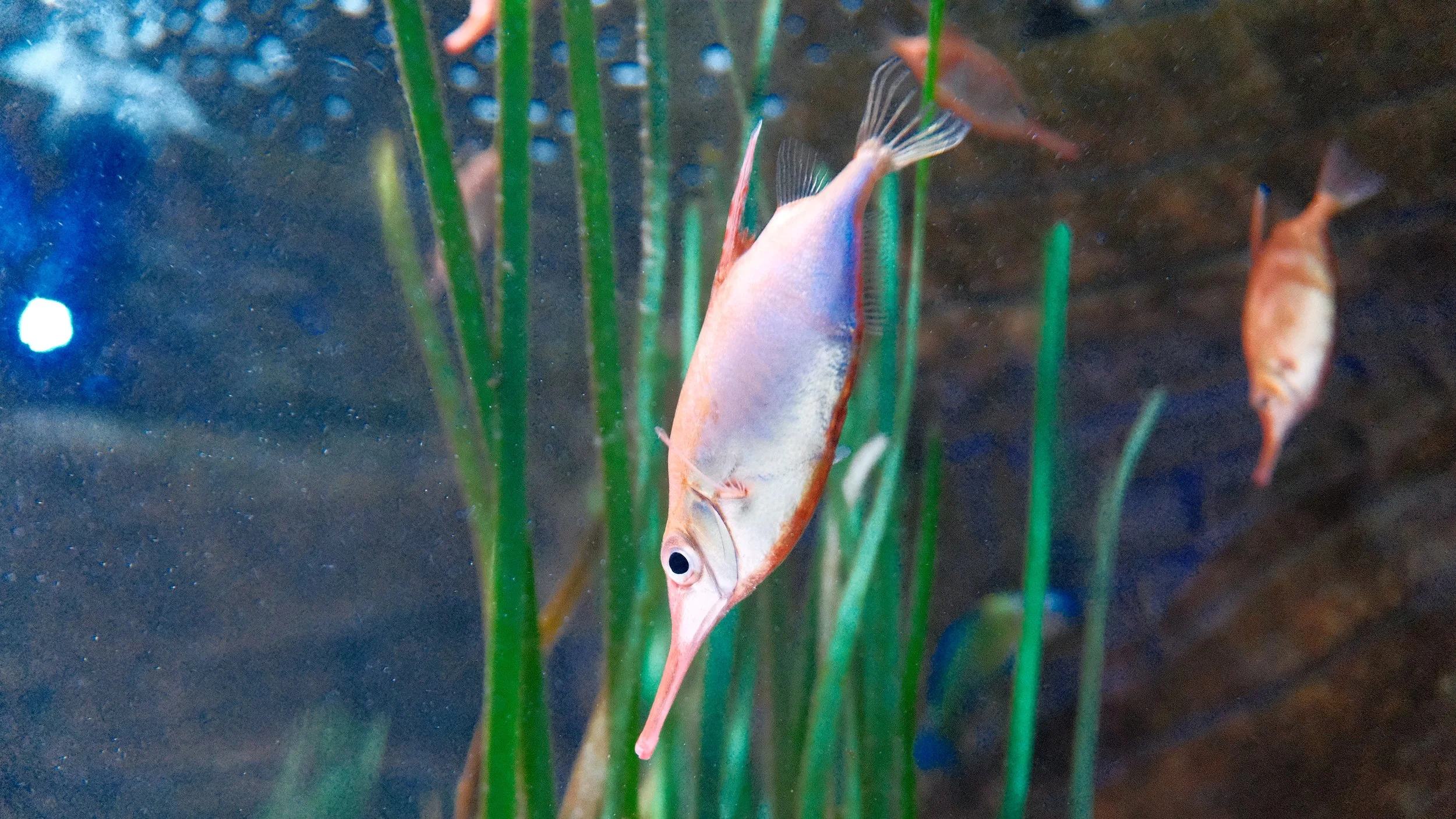 DSCF5936.JPG